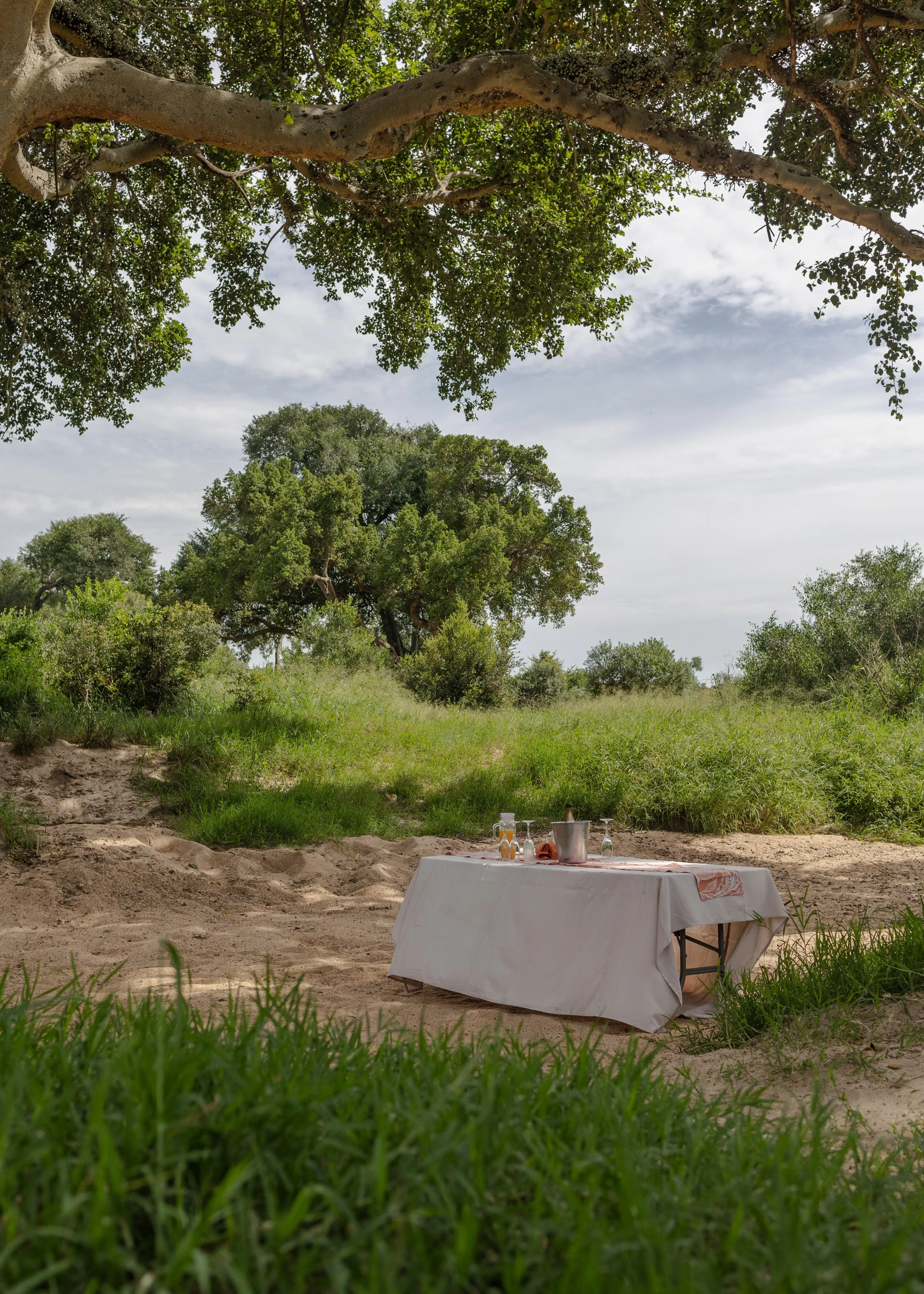 Tintswalo x Alie in Africa-32-3.jpg