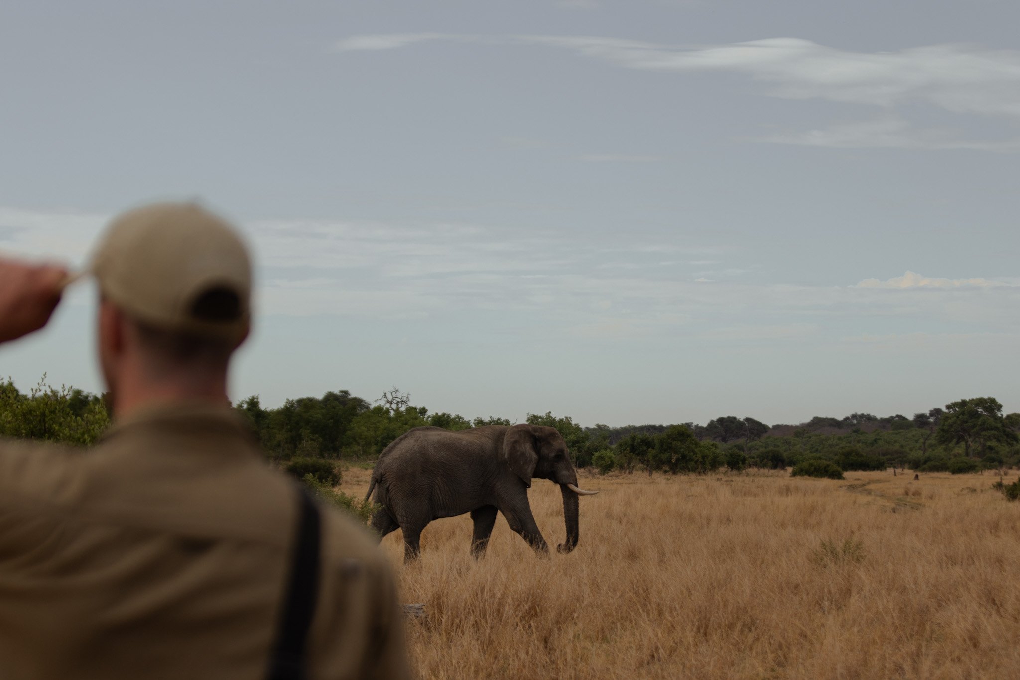 somalisa x alie in africa x81.jpg