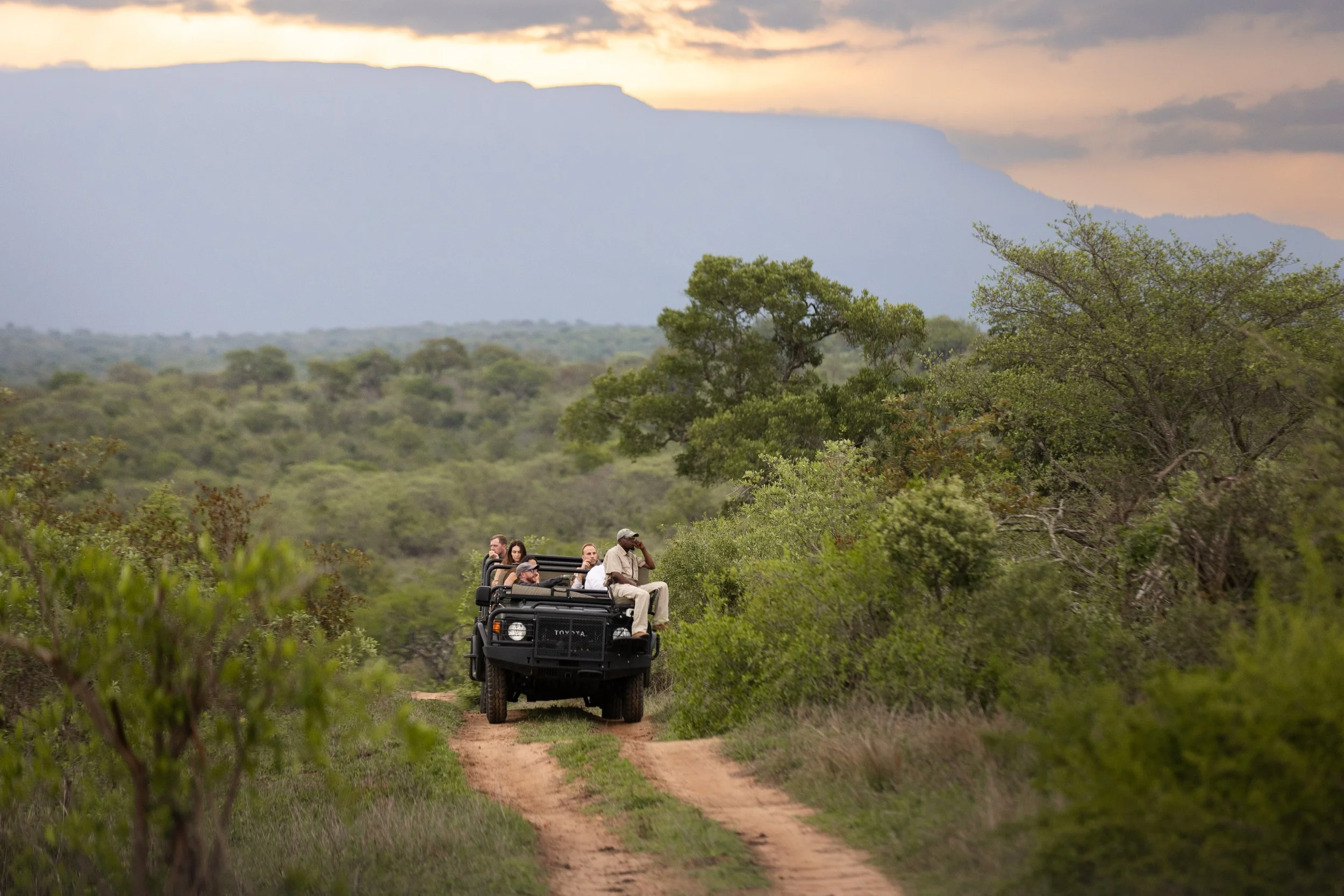 thornybush x alie in africa-45.jpg