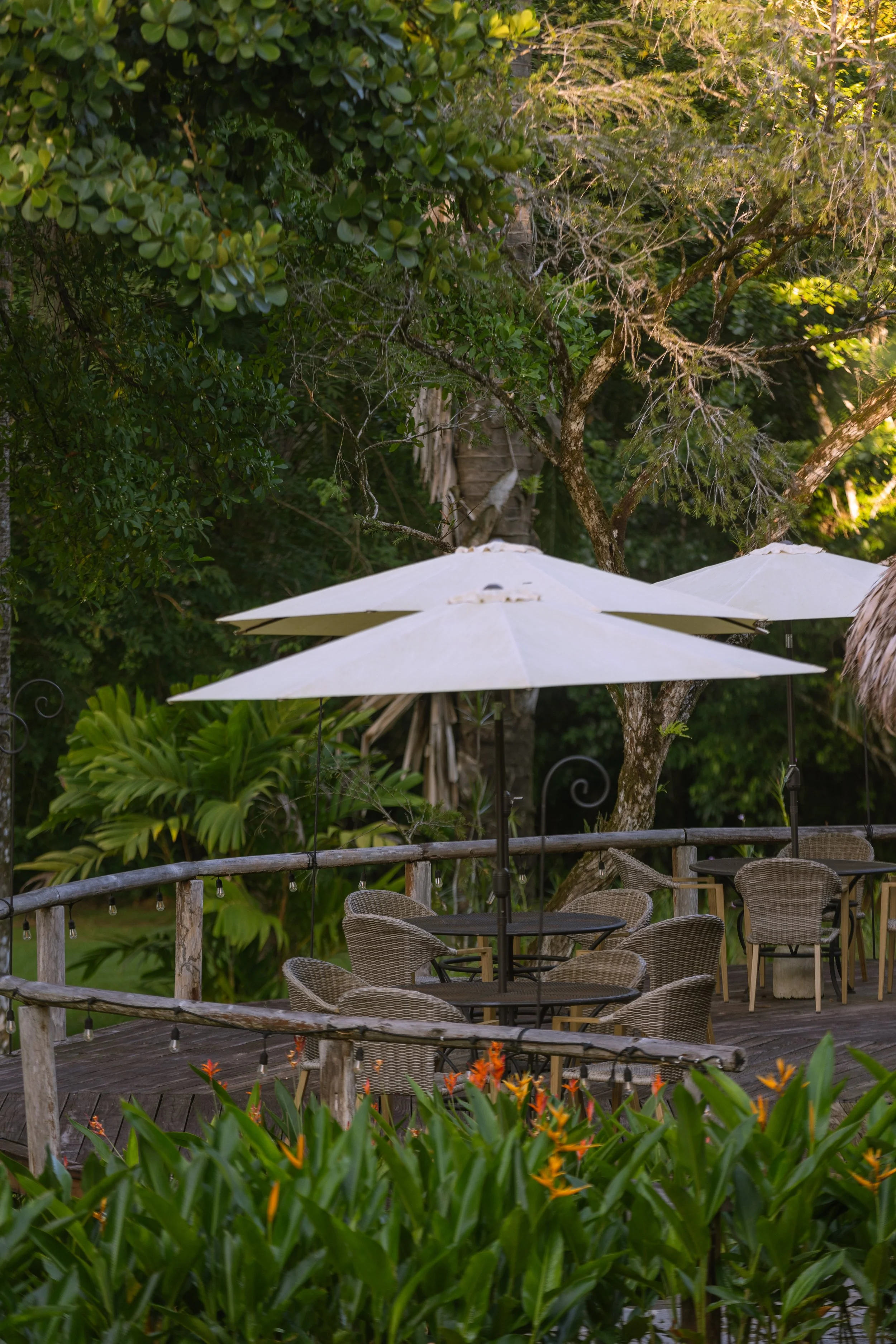 bosque edits-19-2.jpg