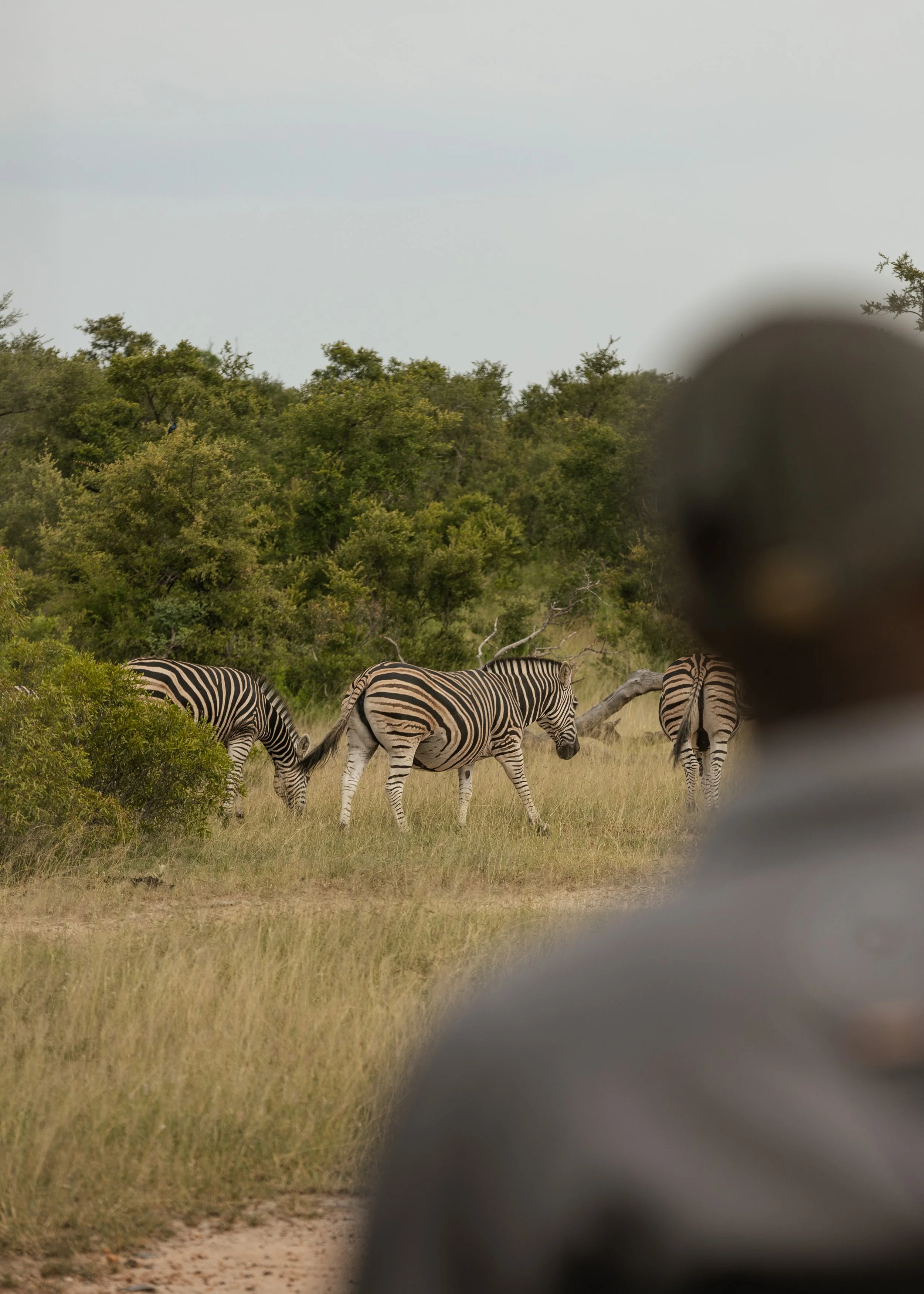 Tintswalo x Alie in Africa-61.jpg