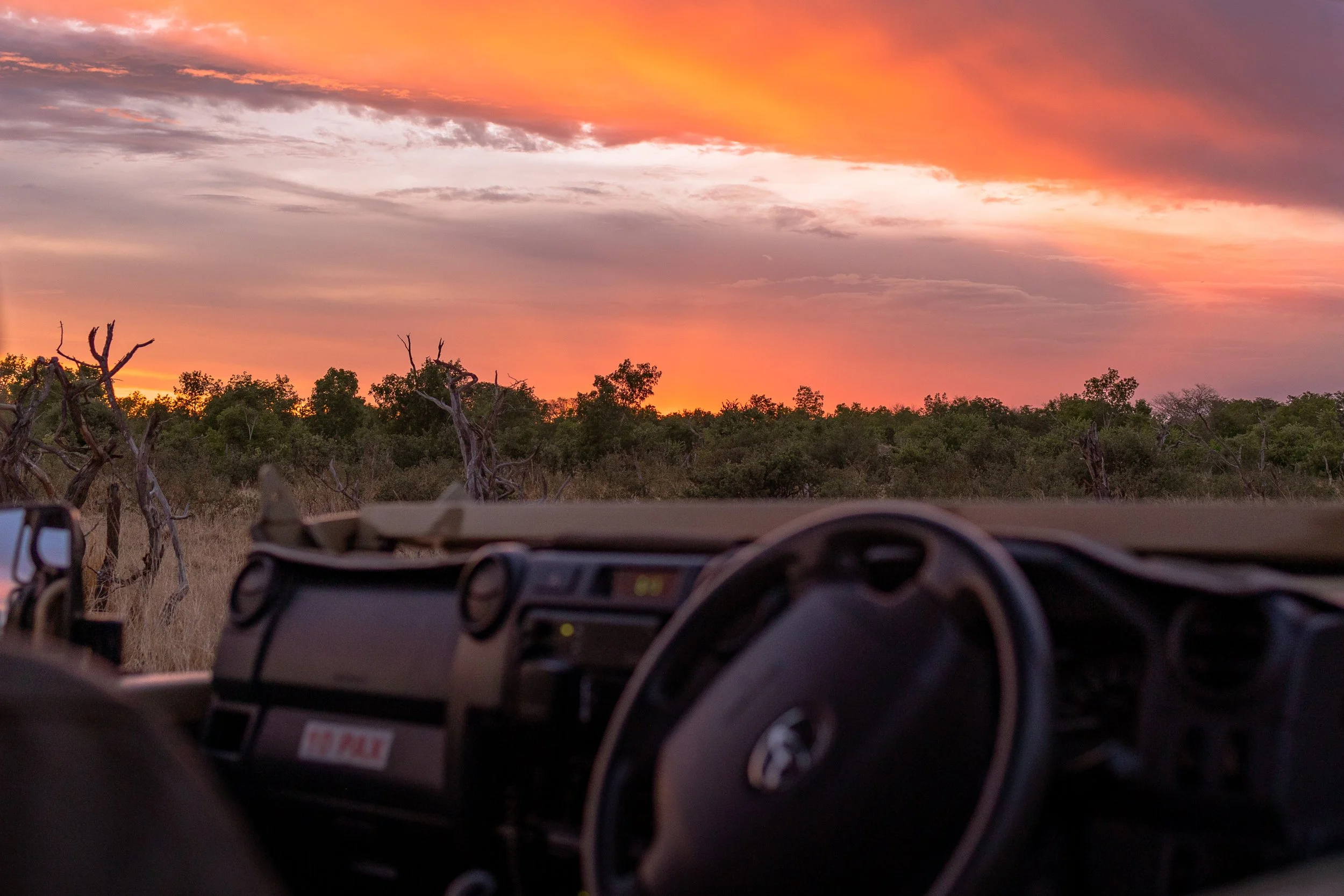 somalisa x alie in africa x51.jpg