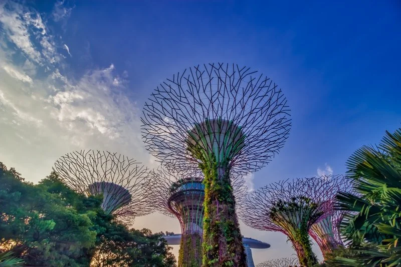 Singapur: Co Warto Zobaczyć w Mieście Lwa w 2026 roku?