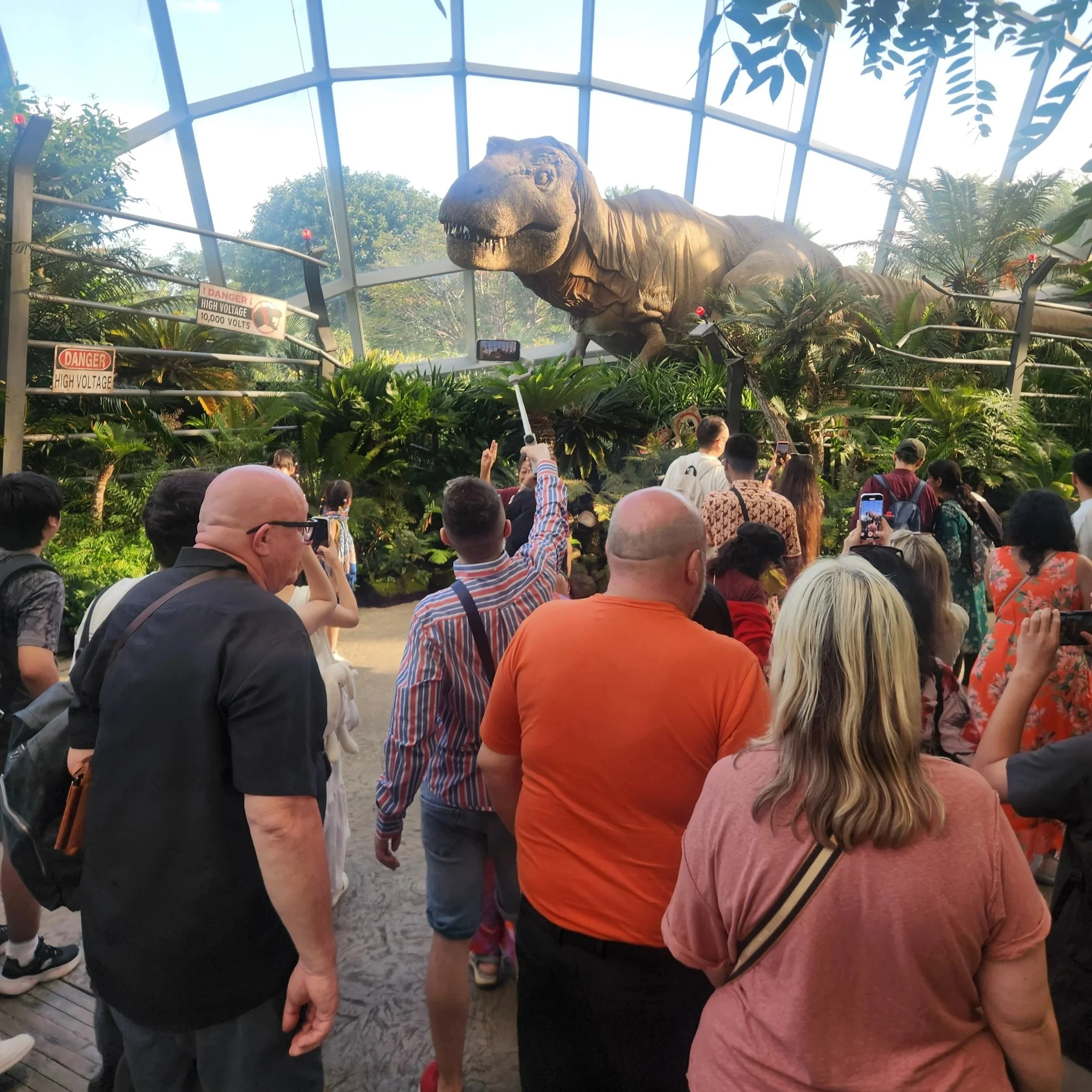 A large indoor exhibit of a T-Rex dinosaur surrounded by visitors taking photos and observing. The exhibit is enclosed with a glass ceiling and includes lush greenery with signs warning of high voltage.