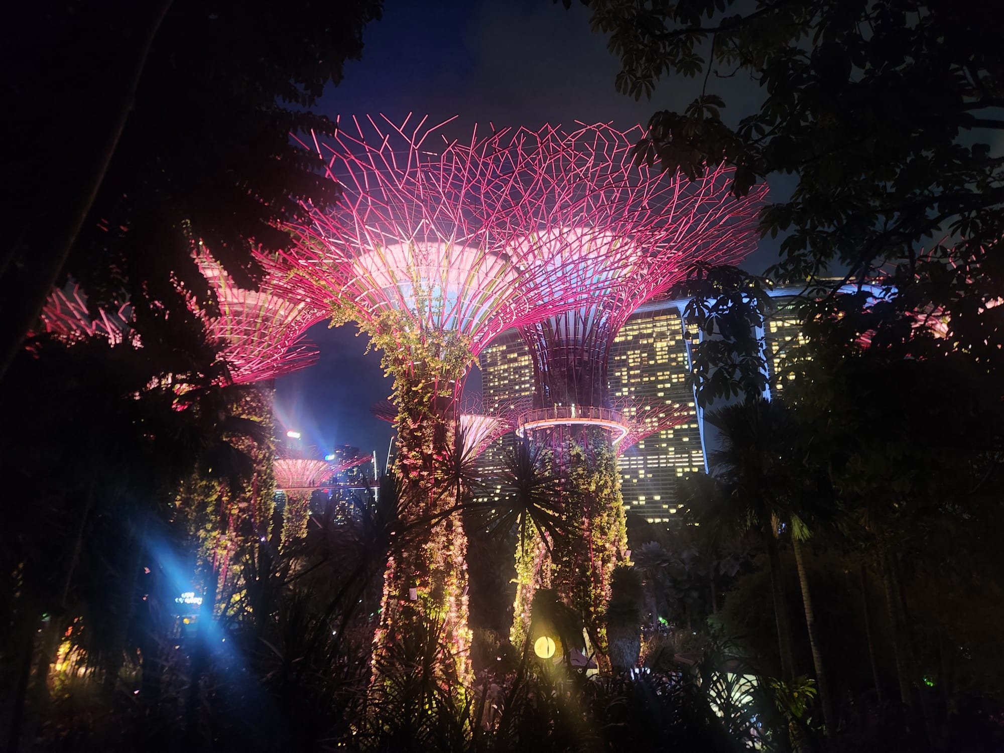 Gardens by the Bay – futurystyczne serce natury w Singapurze i obowiązkowy punkt każdej wycieczki