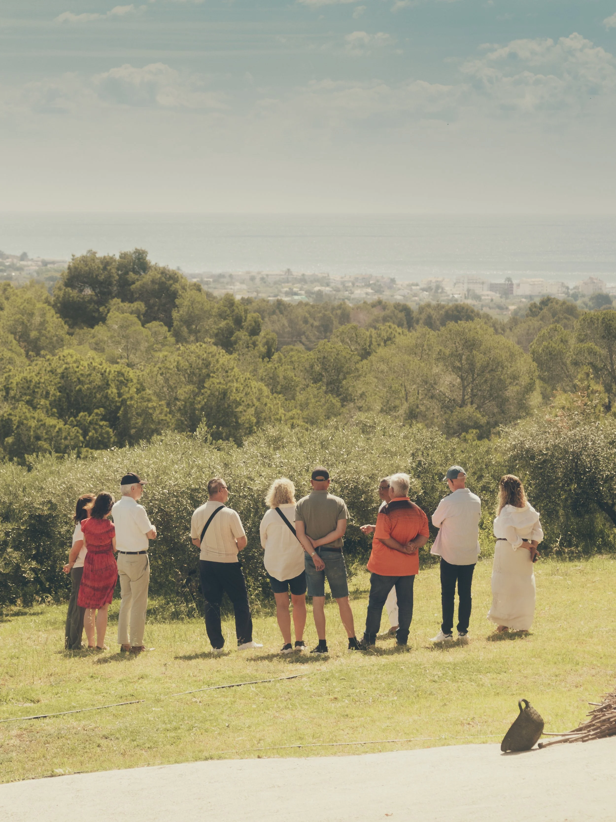 Why Costa Blanca Is Perfect for Agrotourism
