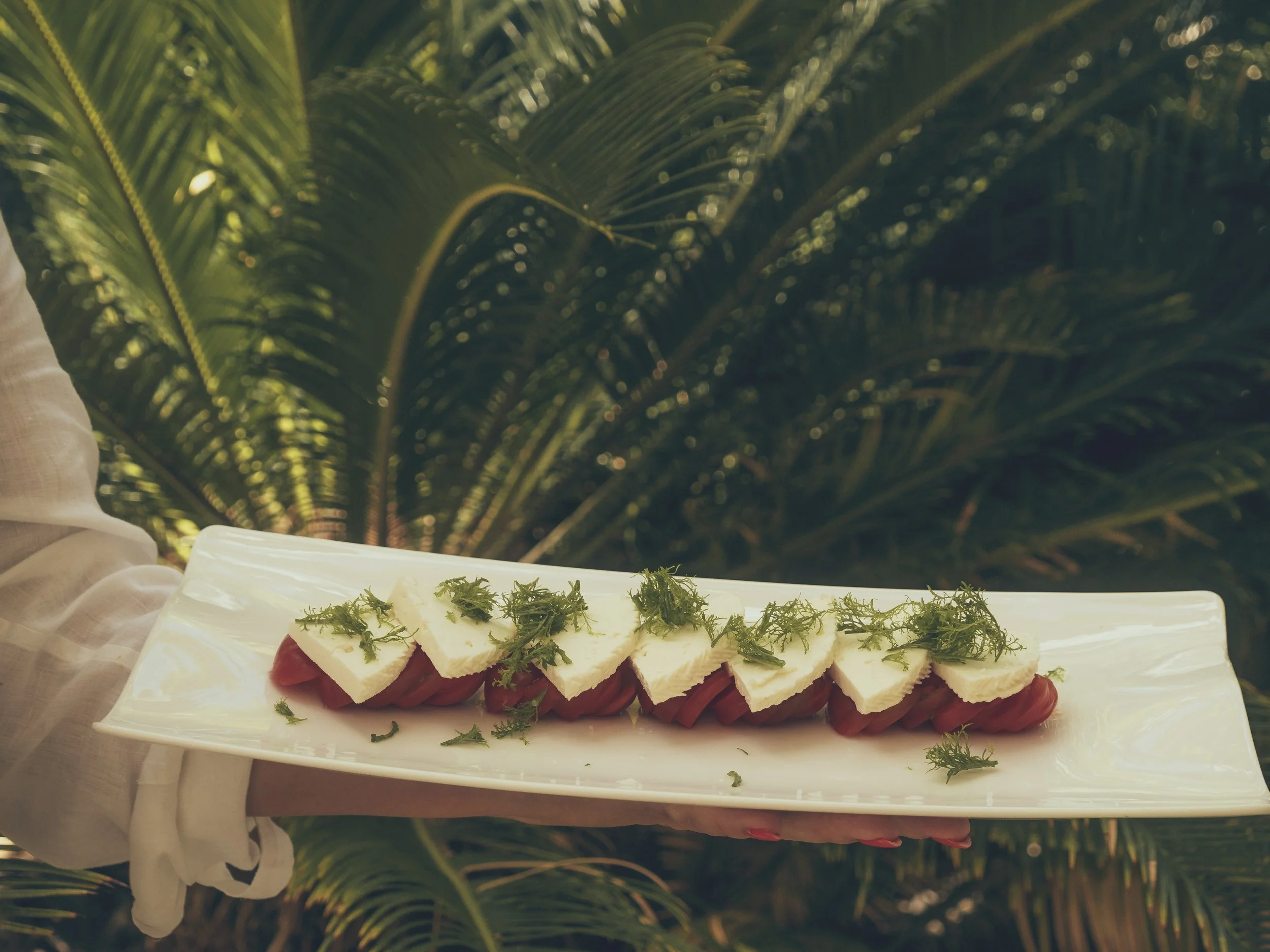 The Flavors of Costa Blanca
