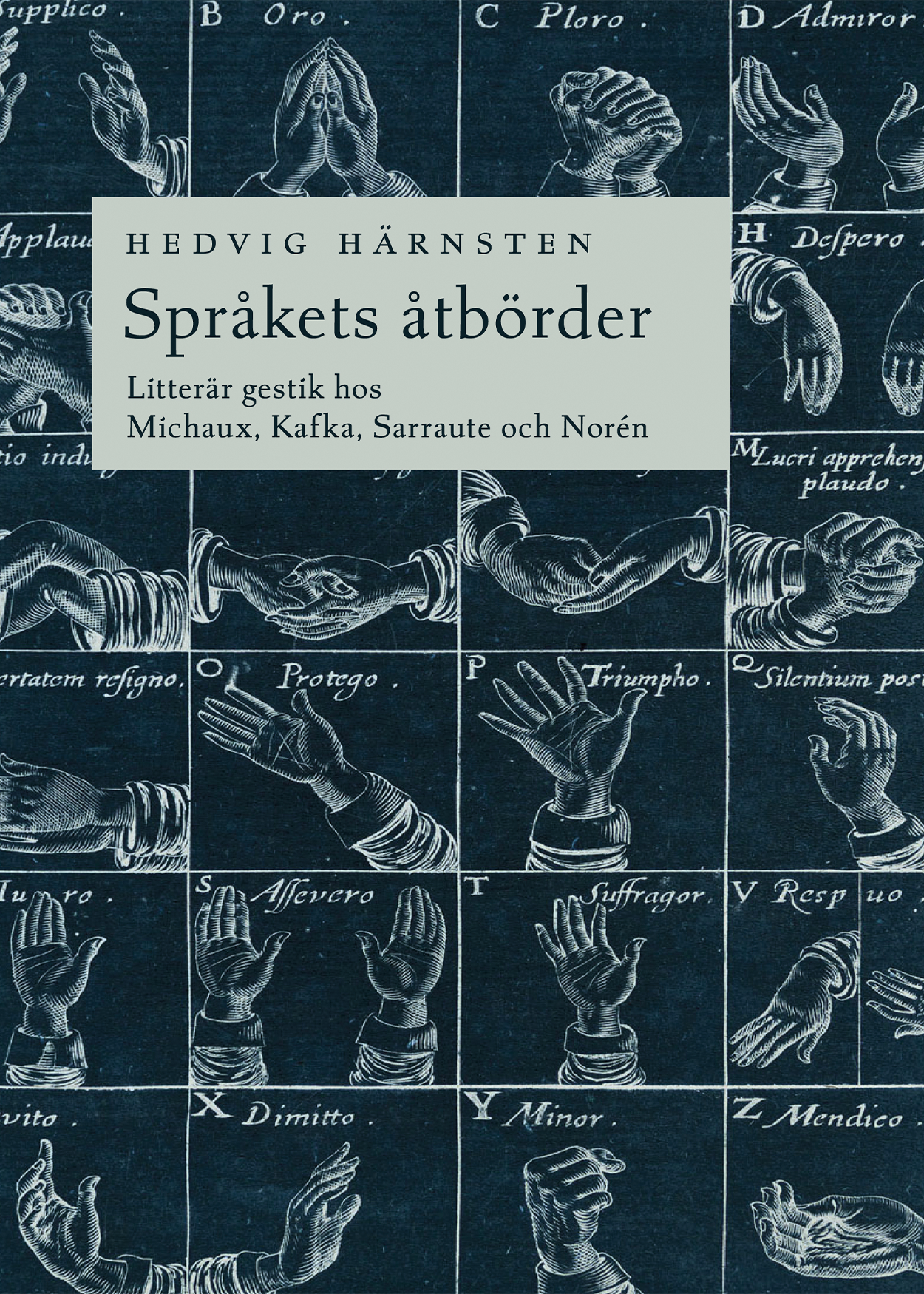 Språkets åtbörder