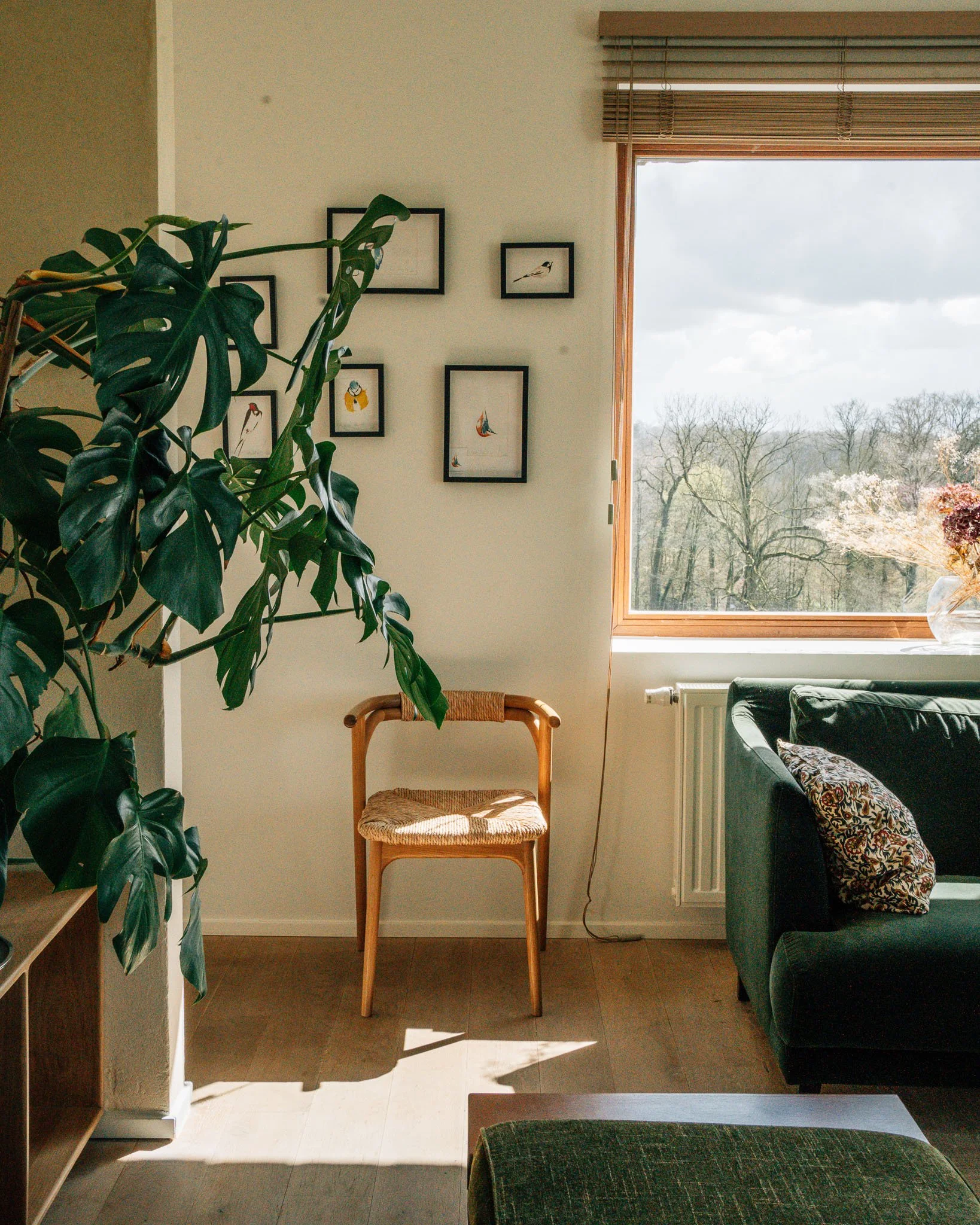 A cozy living room with a large window showing a view of trees and cloudy sky, a wooden chair with woven seat, a black armchair with a colorful patterned pillow, a green houseplant, and five framed pictures of birds on the wall.
