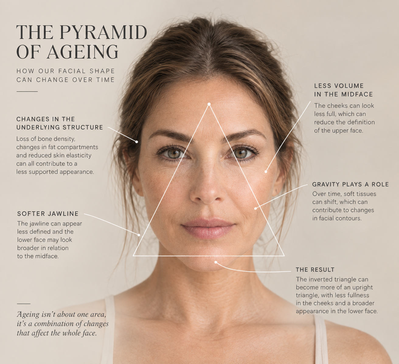 Diagram of the Pyramid of Ageing