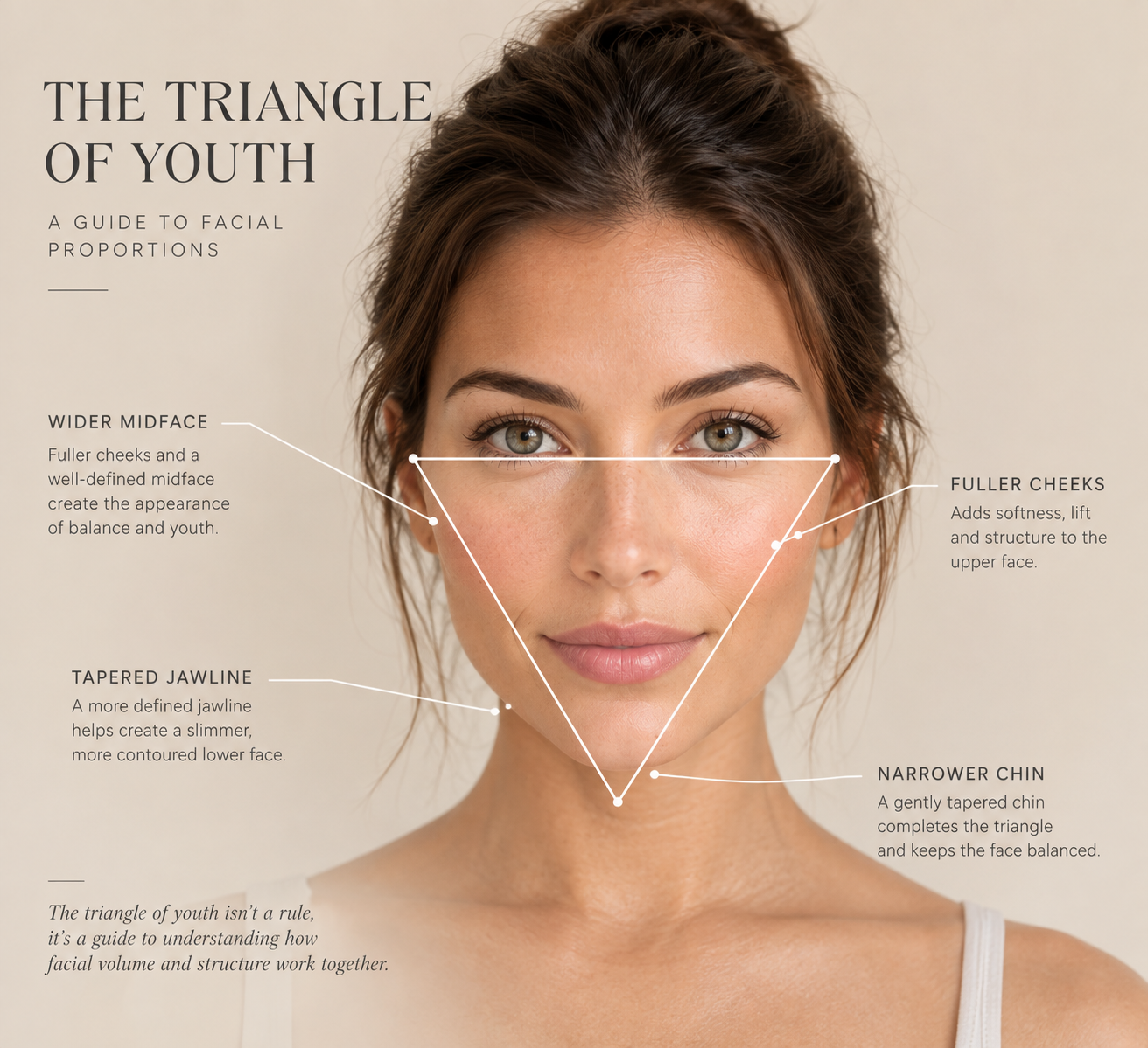 Diagram of the Triangle of Youth