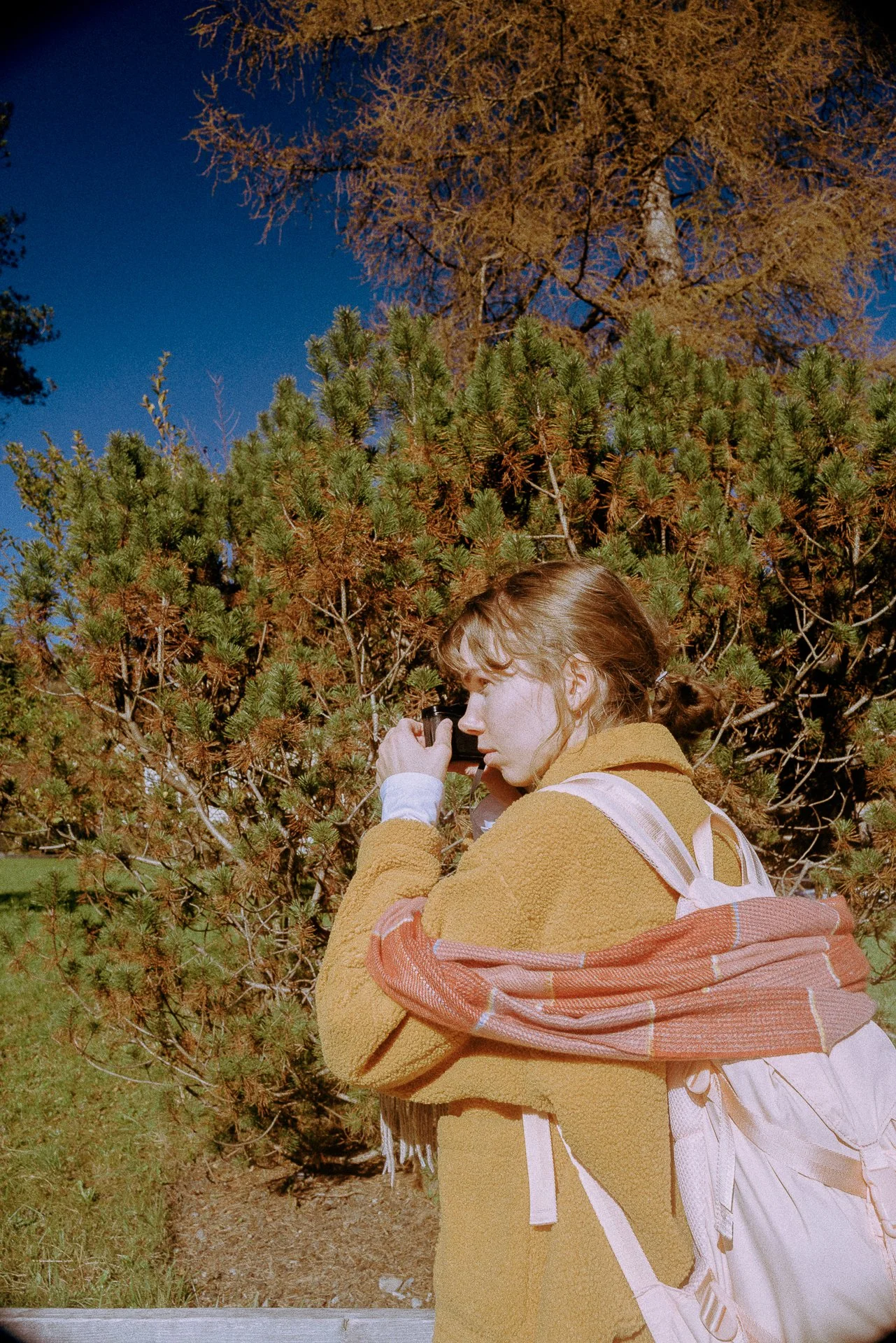 L1070163.jpg