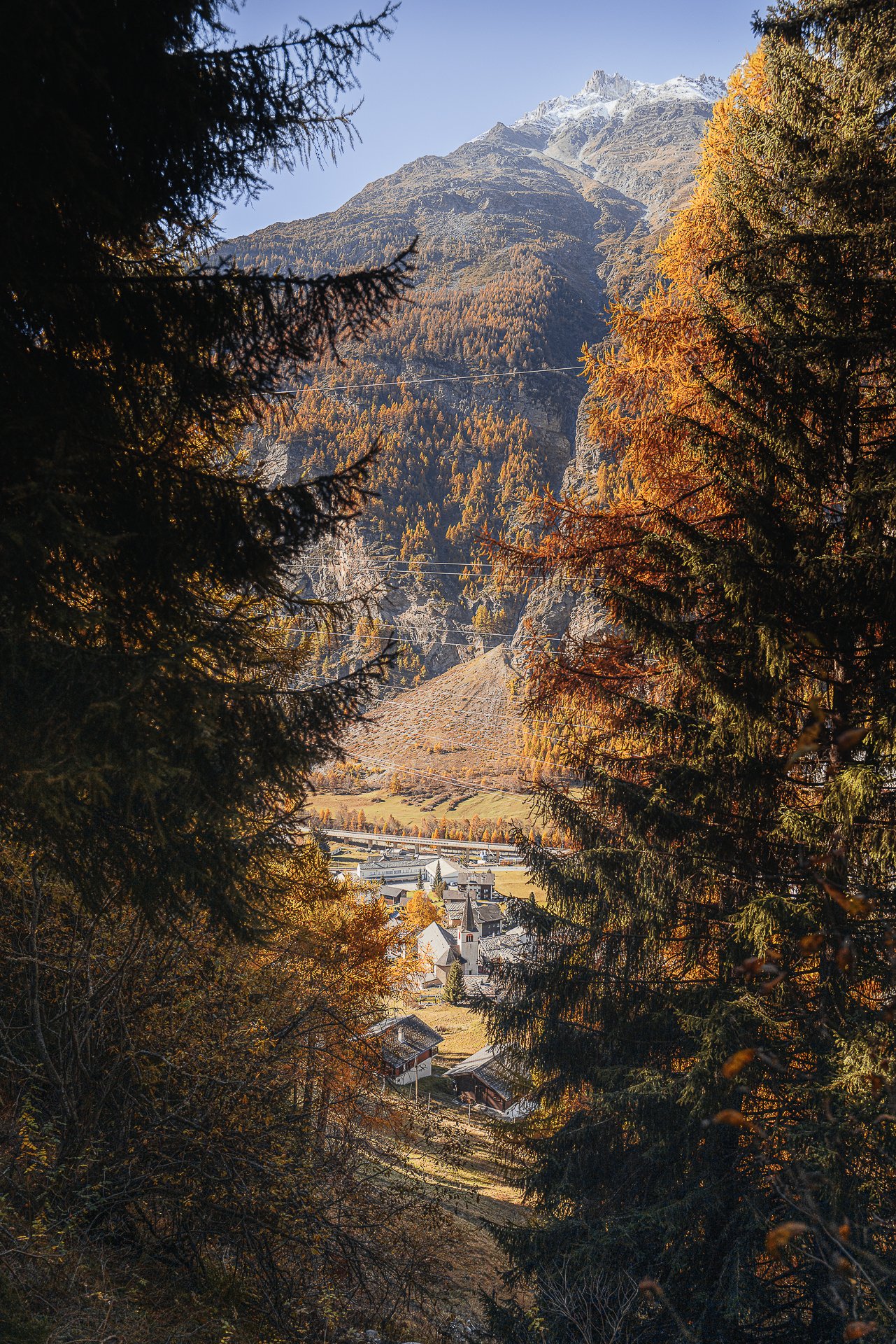 L1062909.jpg