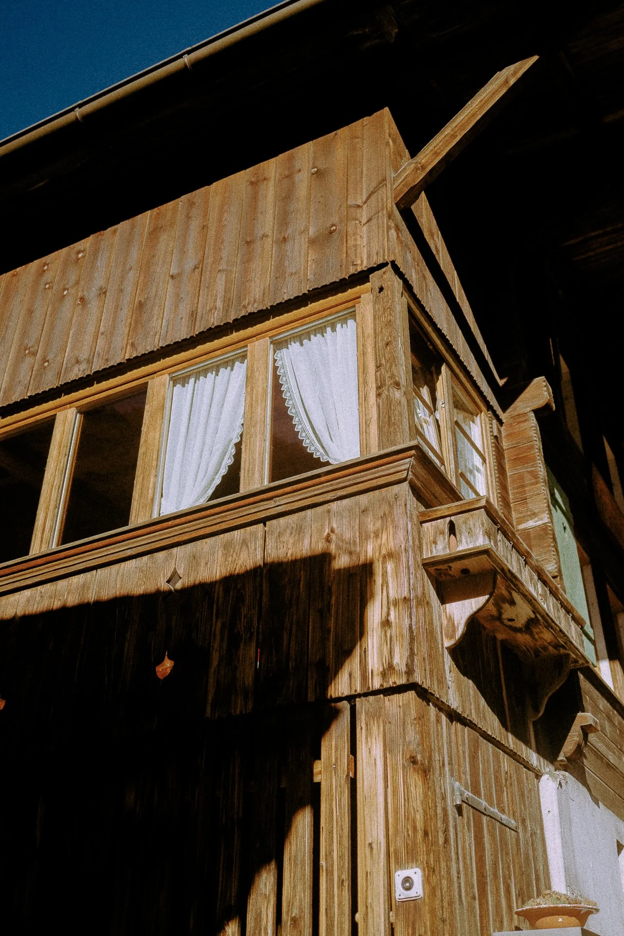 L1070115.jpg