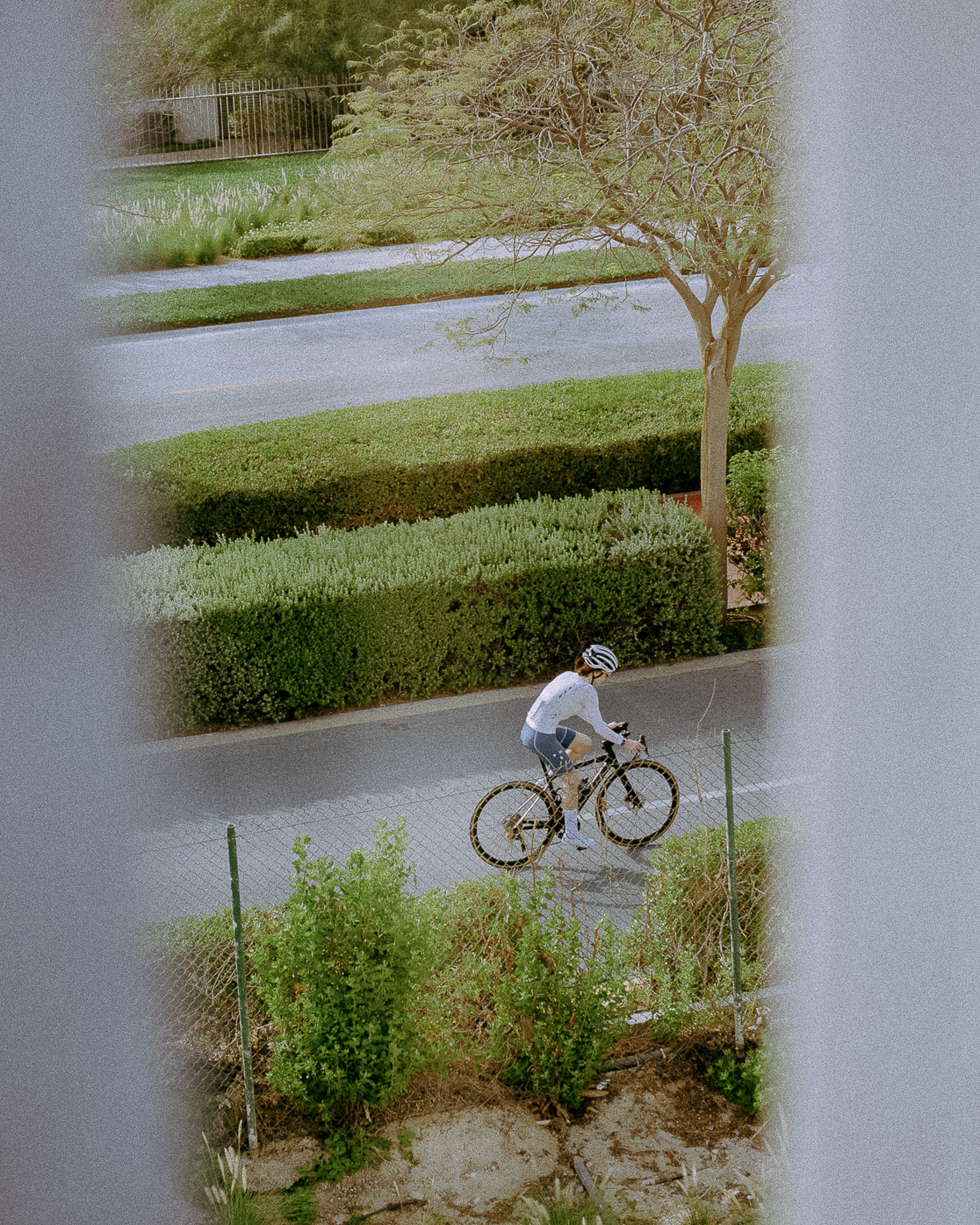DSC01440.png