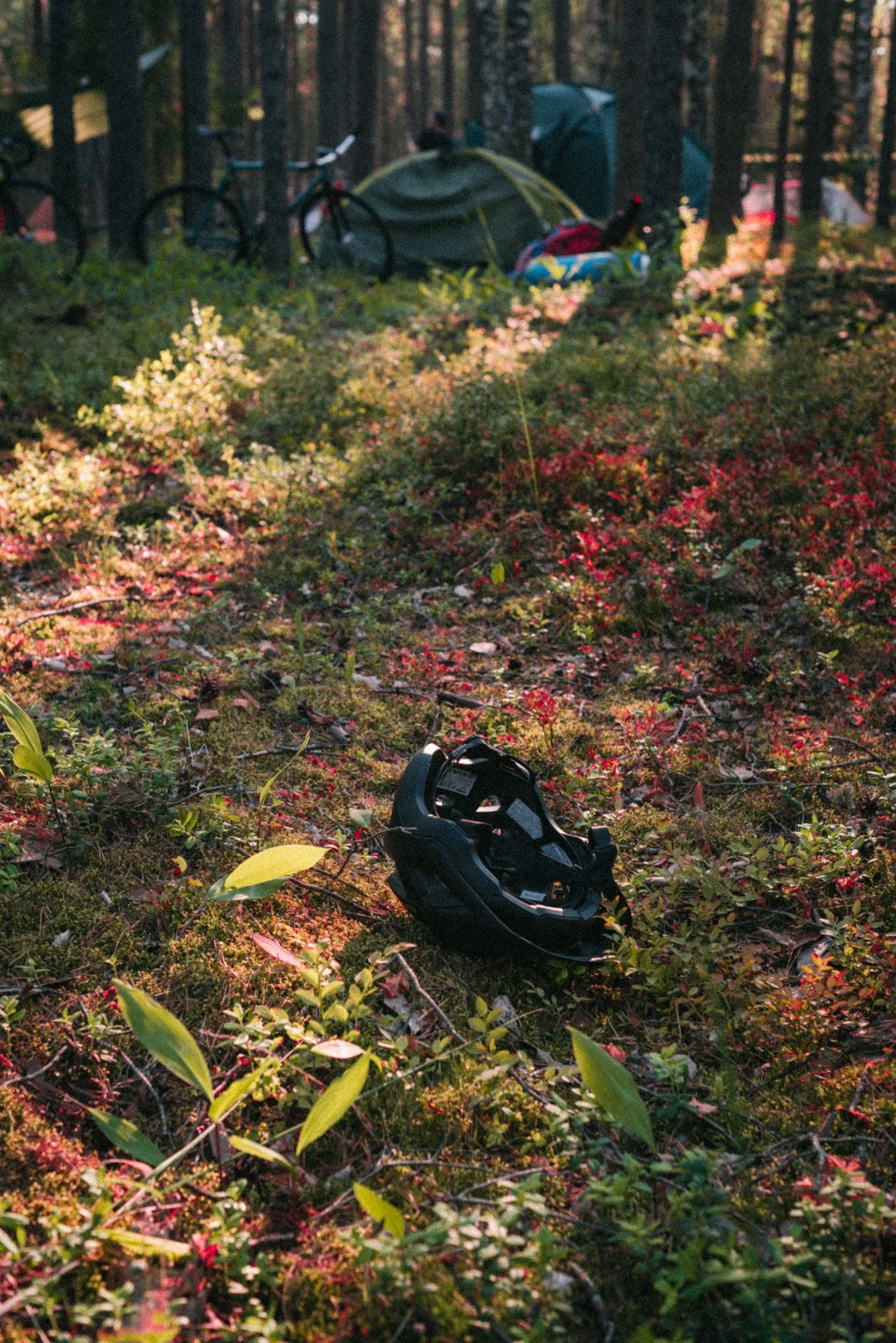DSC_9011.jpg