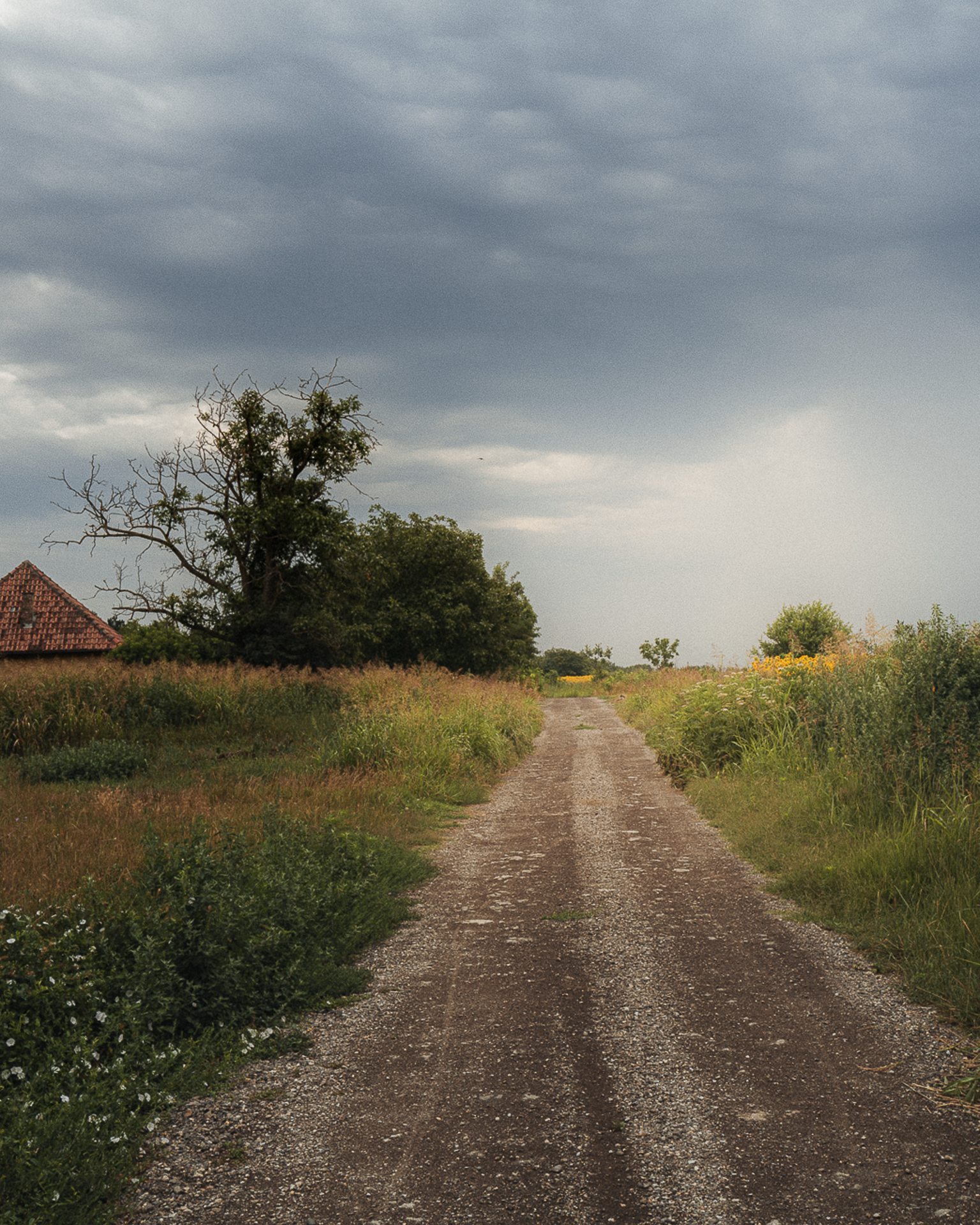L1060740.png