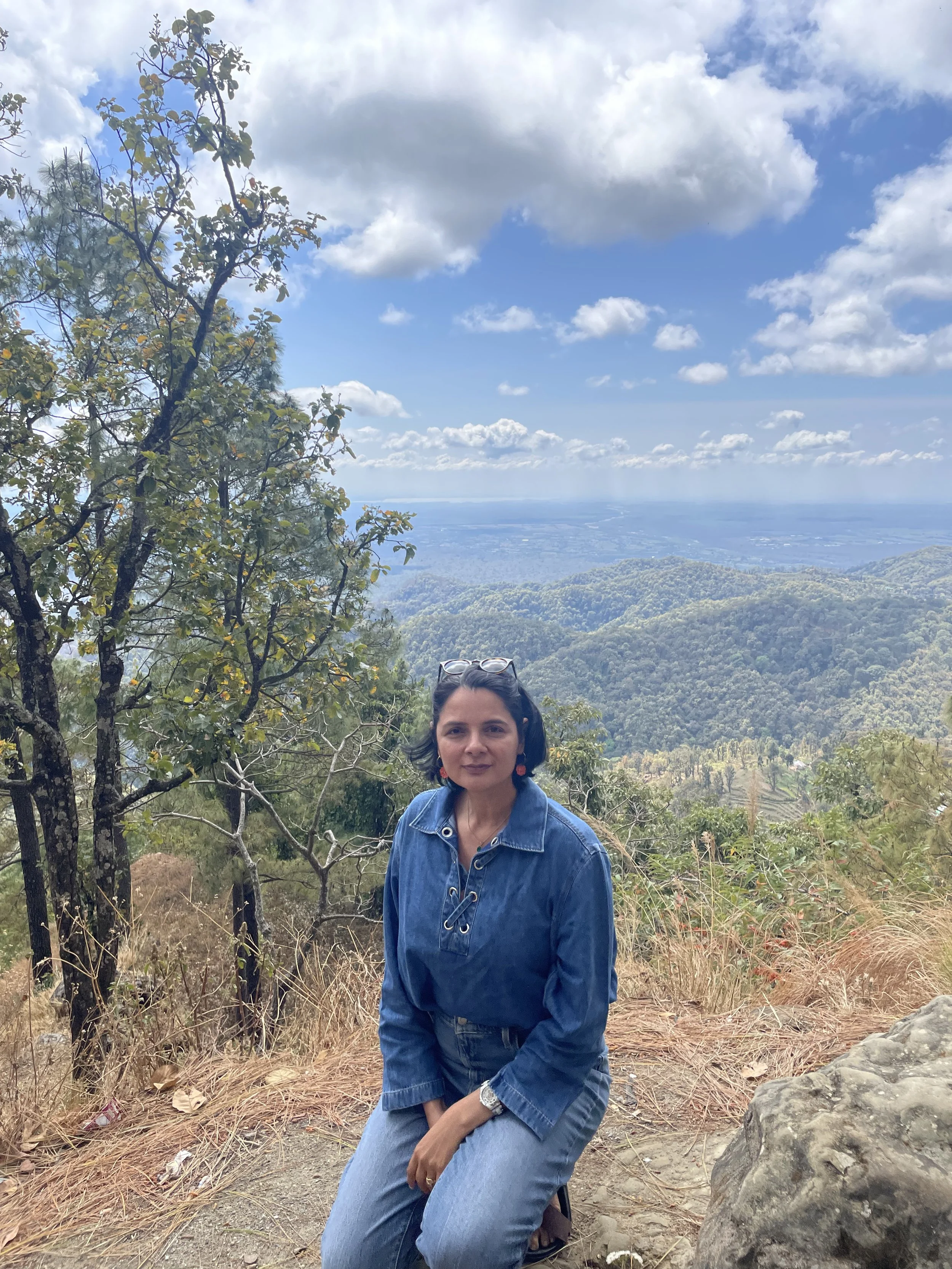 Aromica sitting on a rock in a mountainous area with trees and a vast landscape of hills and a distant body of water under a partly cloudy sky.