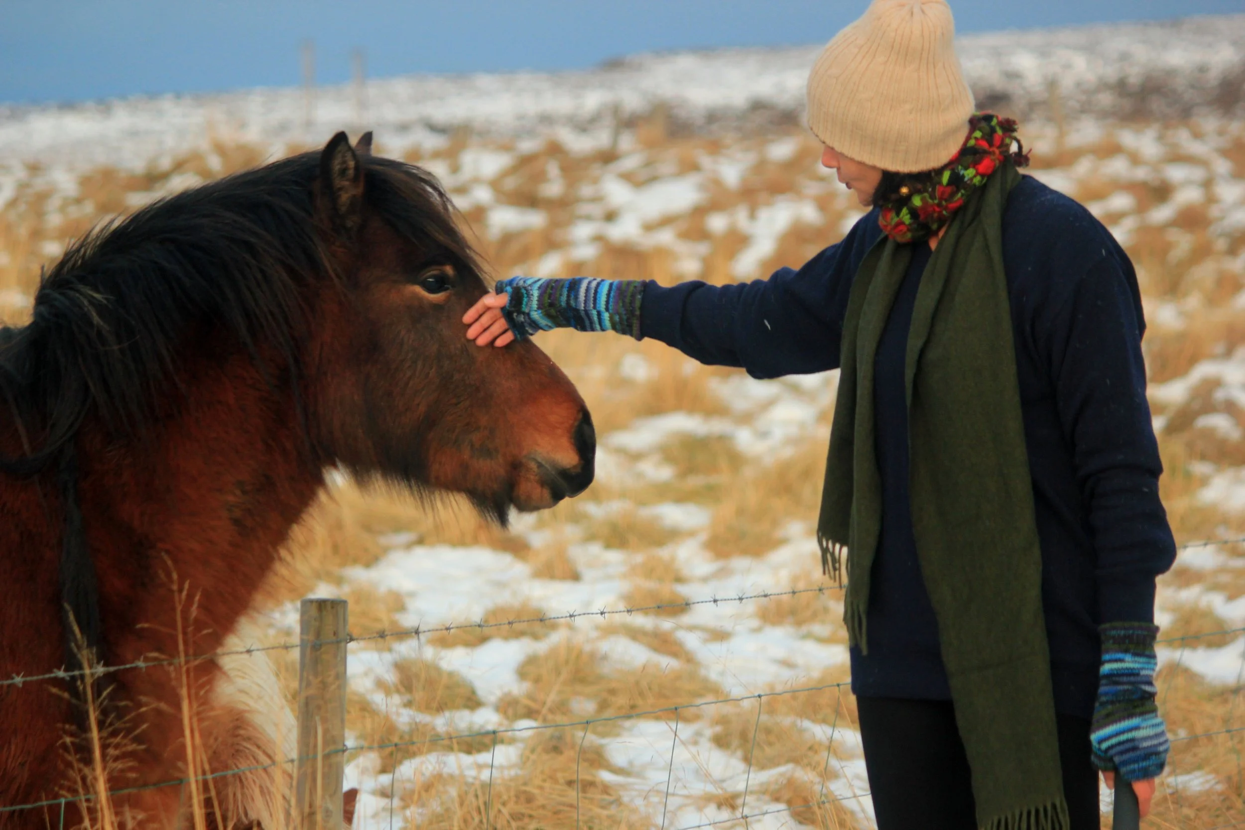 Aromica interacting with a horse through a fence in a snowy field, wearing winter clothing.