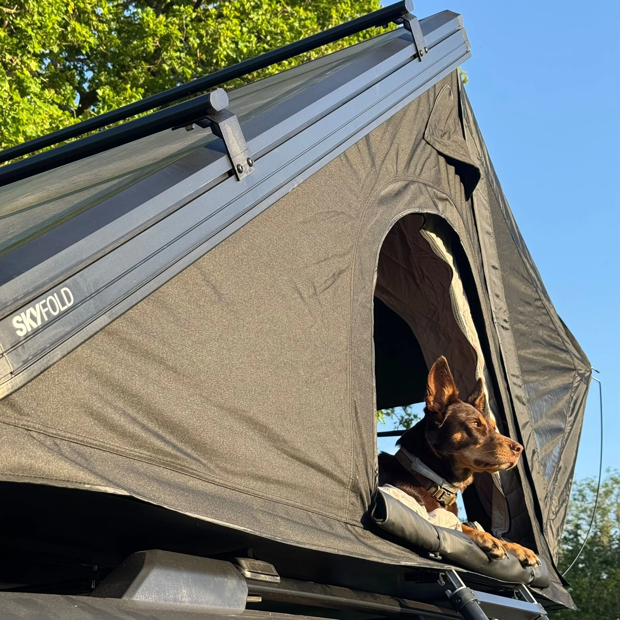 Skyfold Glide Cargo Bars