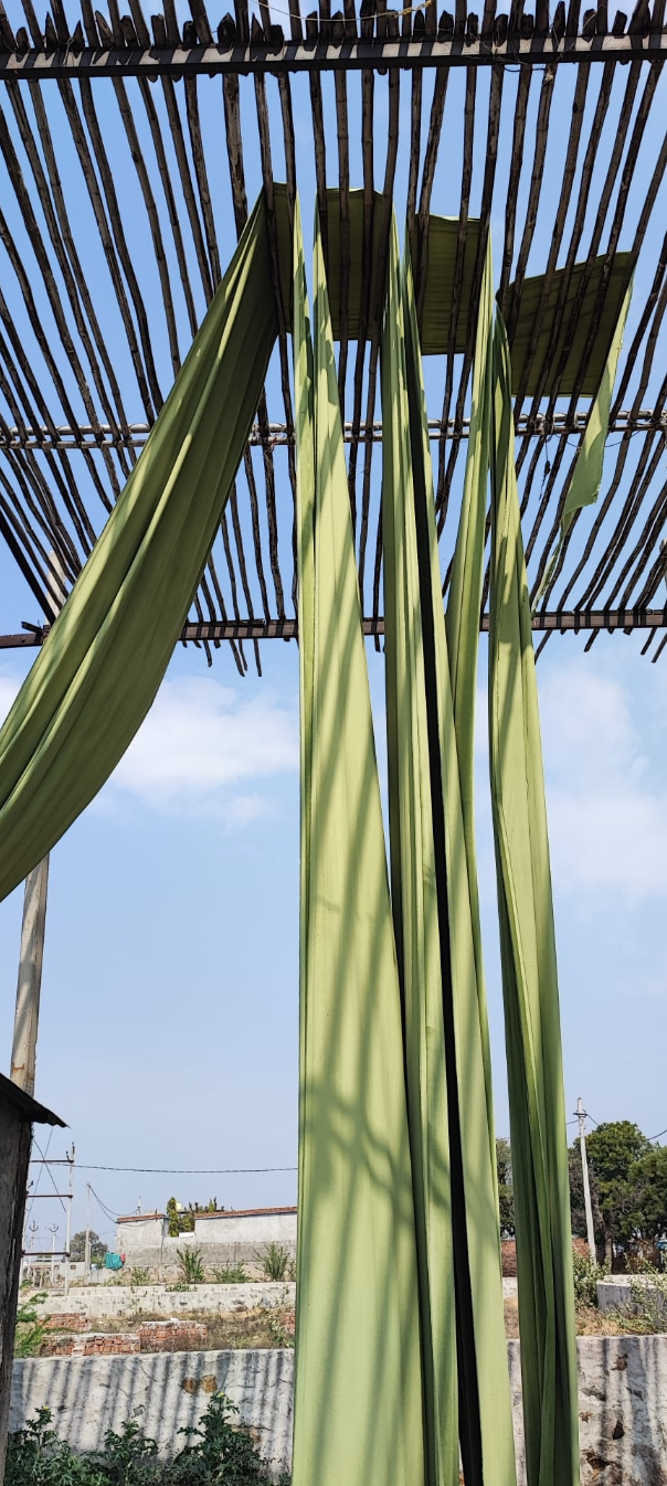 Tissus en cours de séchage en Inde utilisés pour la production textile
