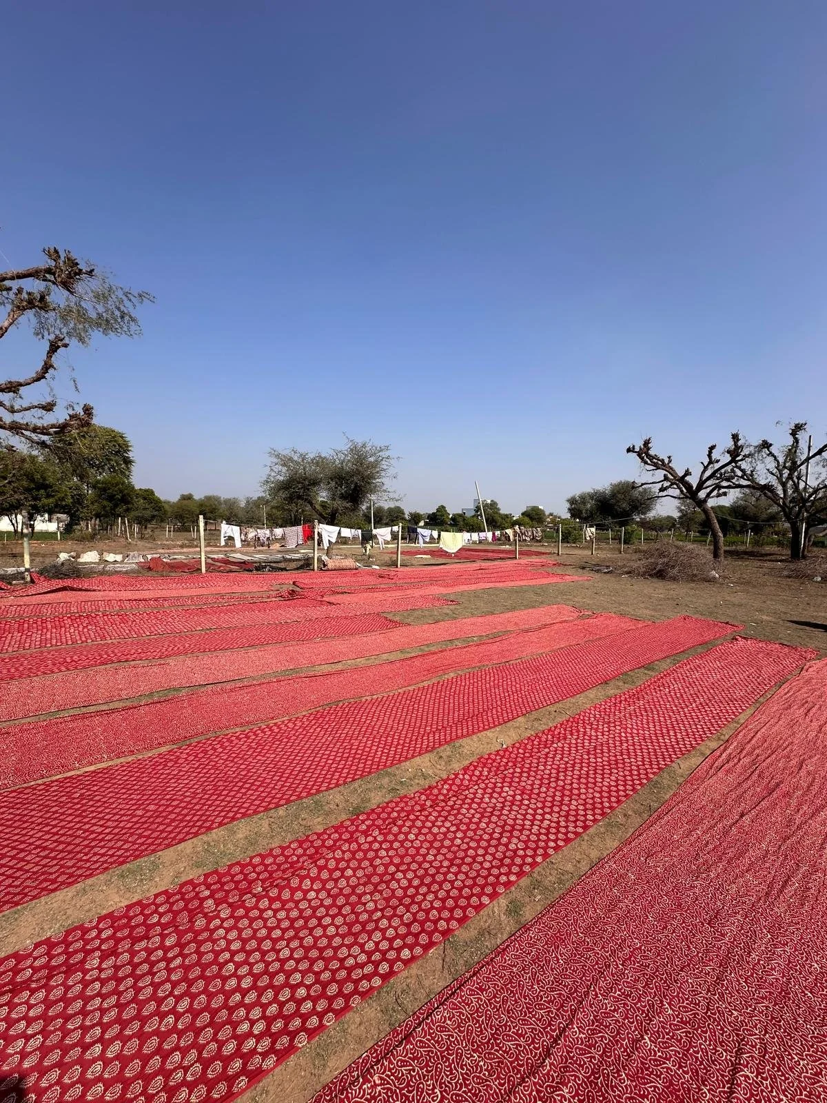 Tissus en cours de séchage en Inde après teinture pour la production textile