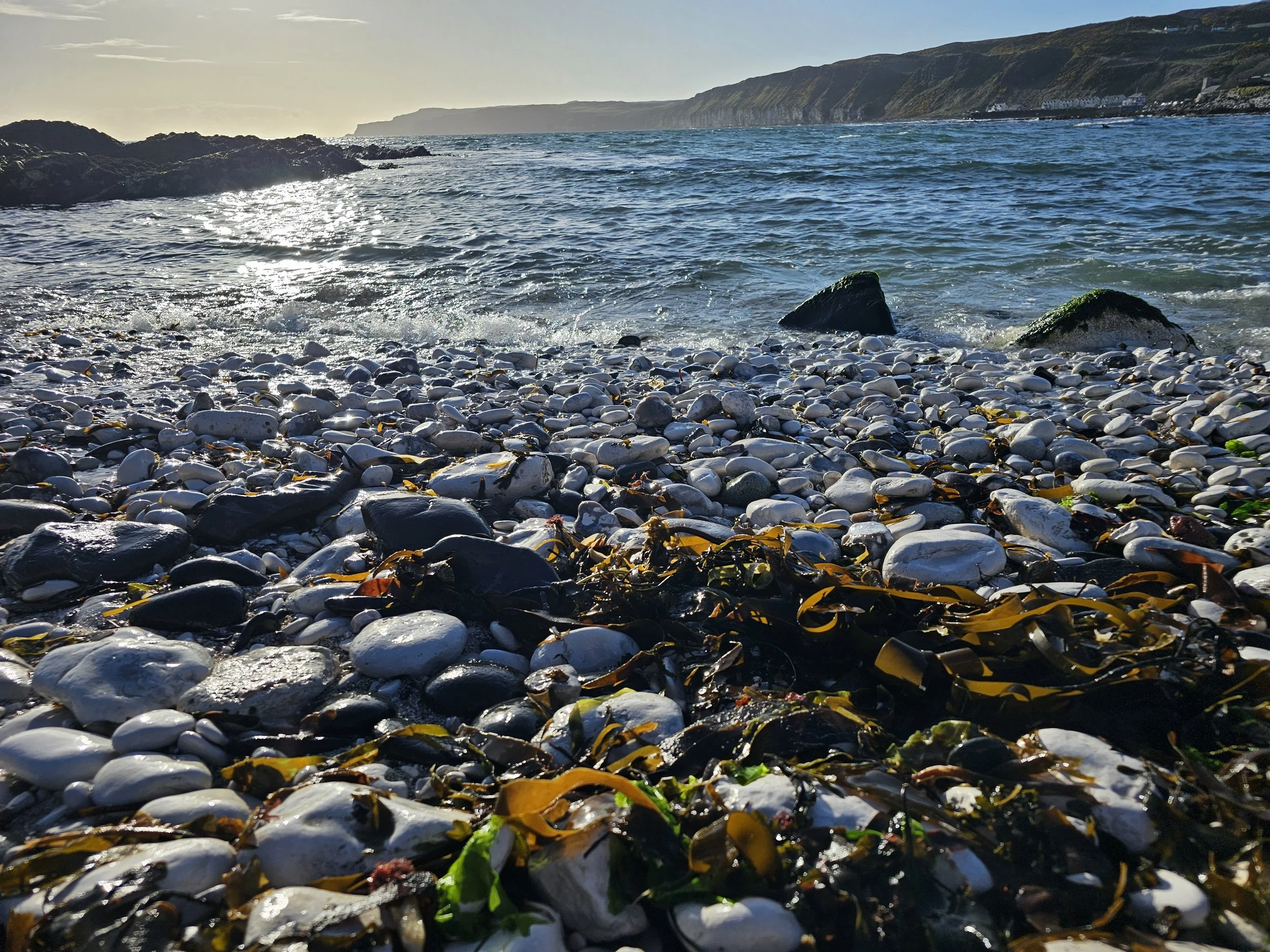 A rocky beach with smooth white stones, some covered with seaweed, and the ocean with small waves. In the background, there are green cliffs and a distant shoreline.