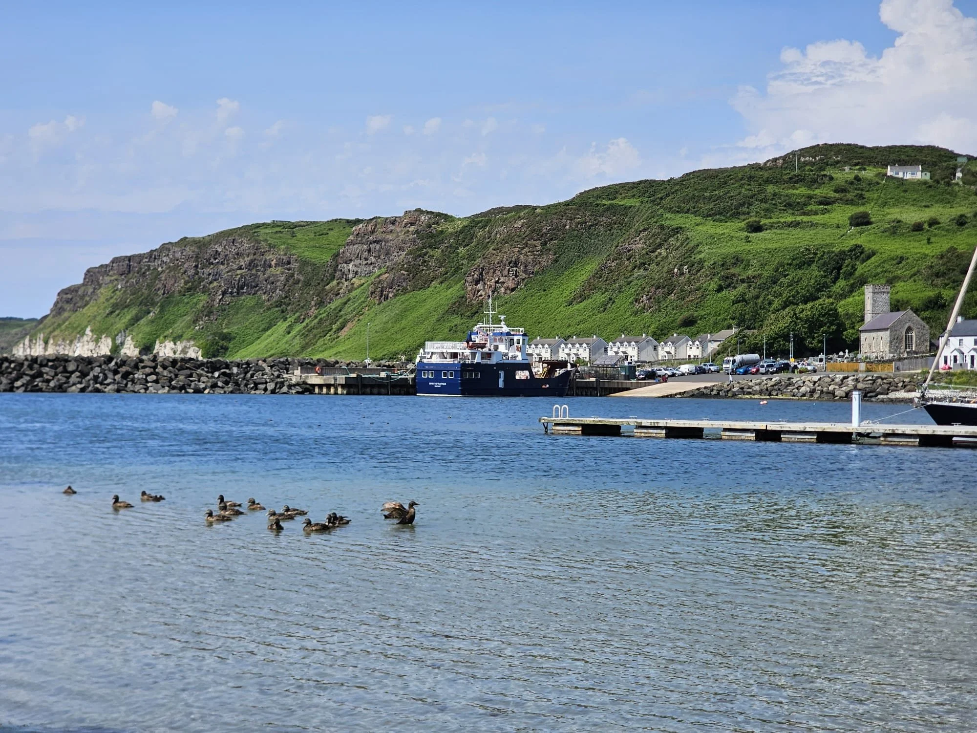 Harbour summer.jpeg