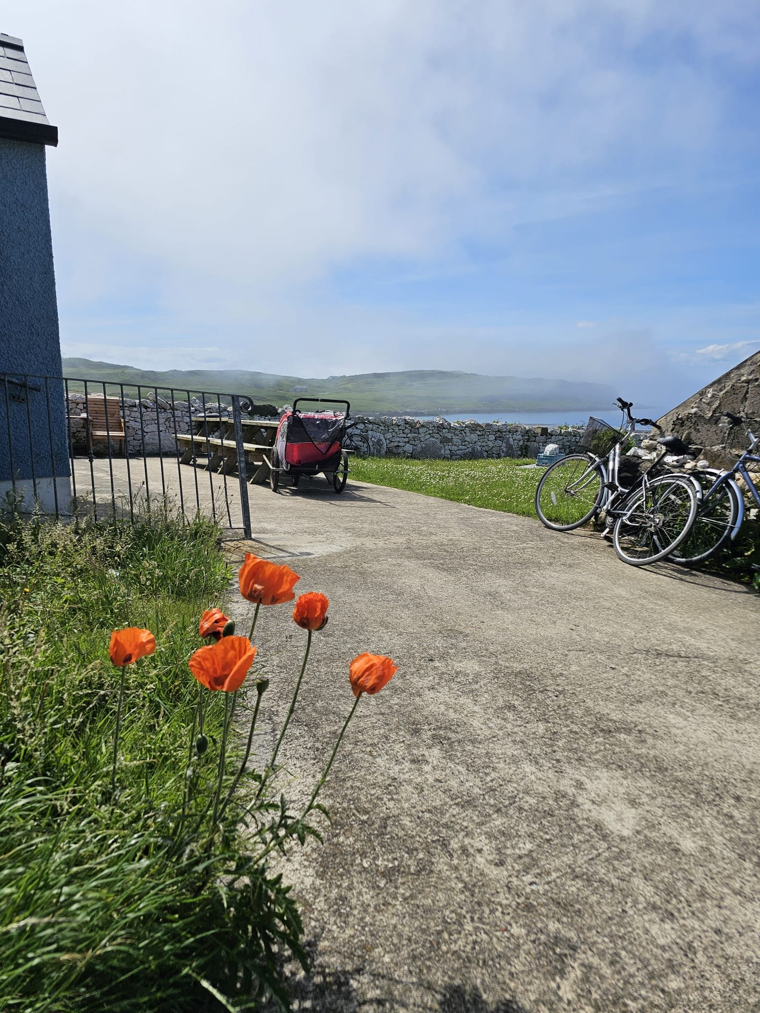 Bikes.jpeg