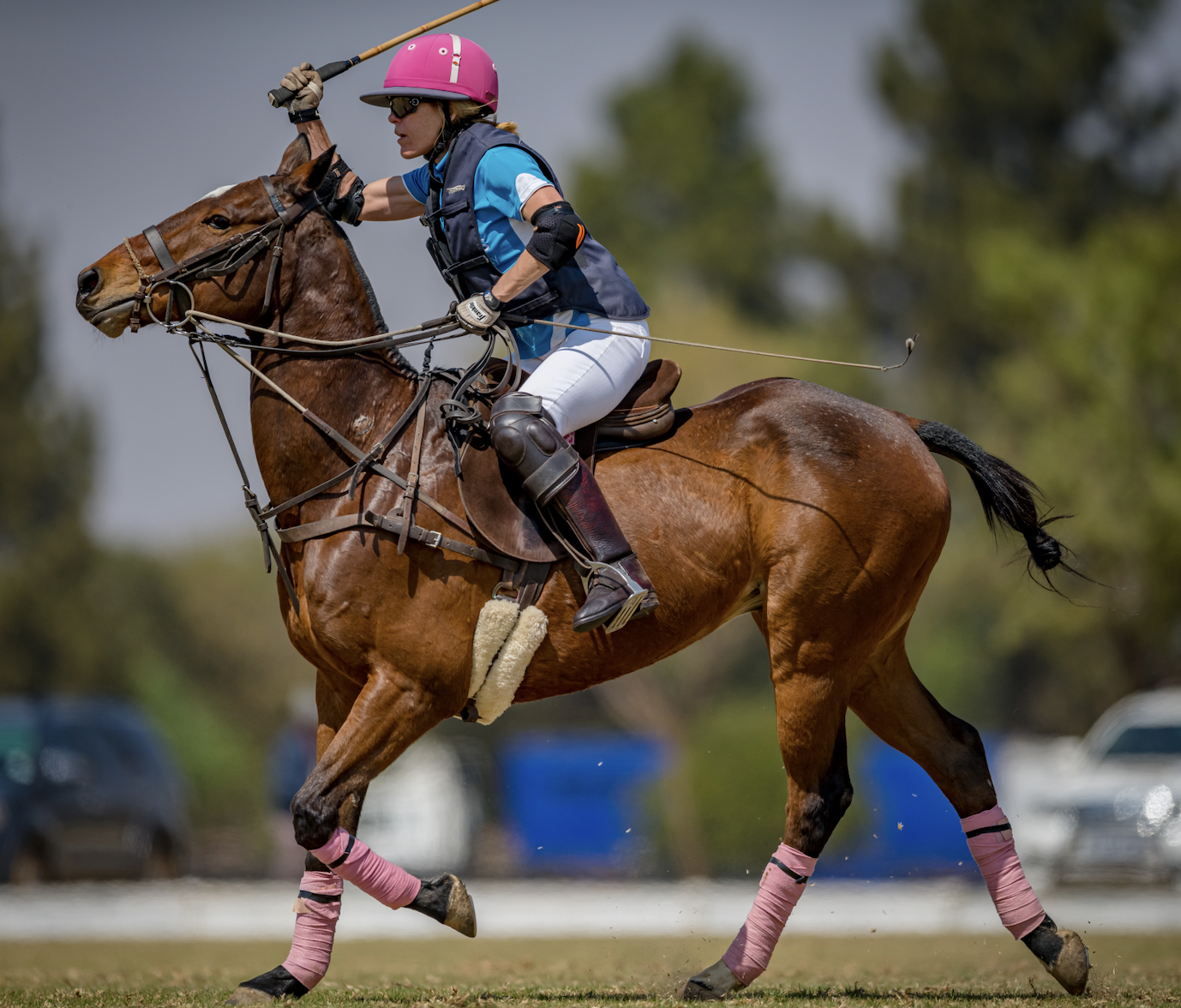 Advanced Polo Group Lesson