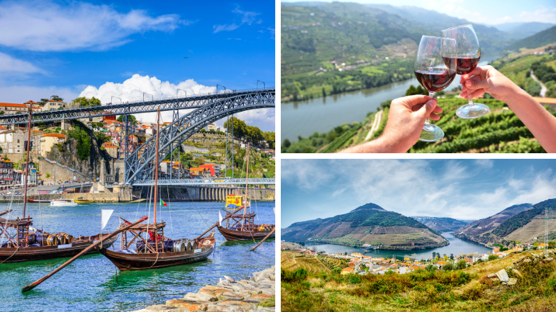Port Wine Perfection: The Breath taking Douro River Valley