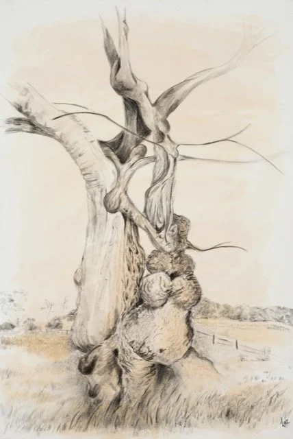 boobtree.jpeg