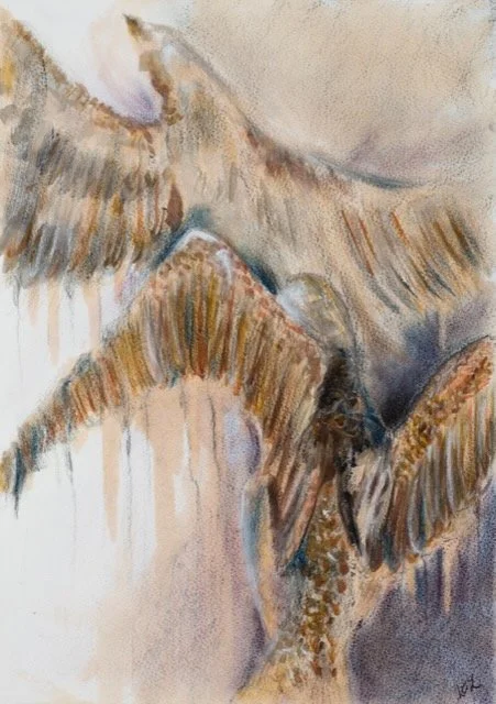 birds.jpeg
