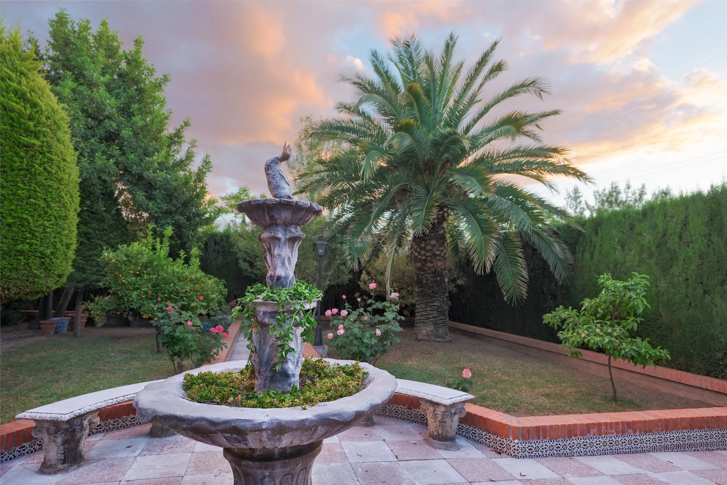 Jardín romantico con fuentes, palmeras, rosales y bancos para disfrutar del atardecer