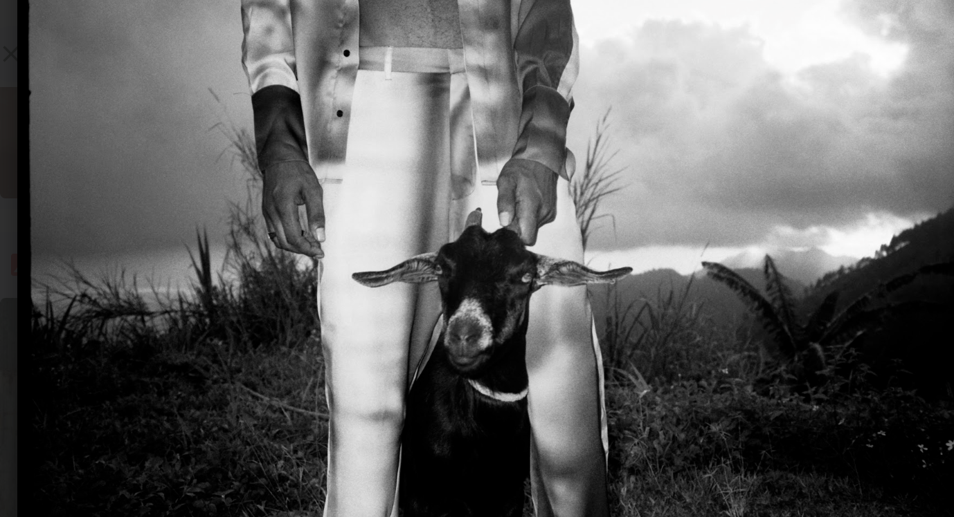 Bianca Saunders Zine - Future of Fashion Essay.png