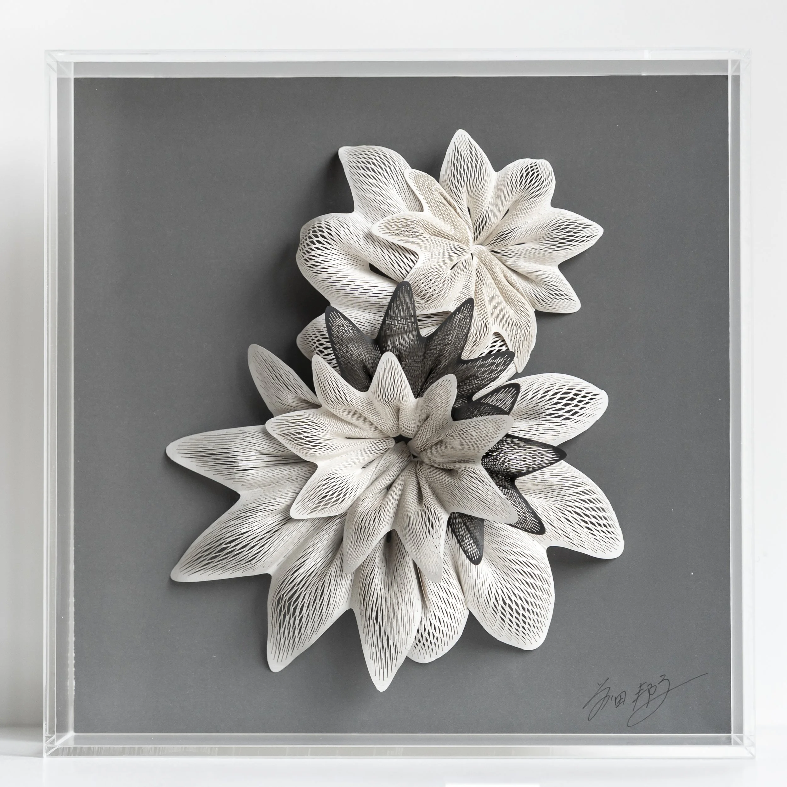 Kuniko Maeda, Unfold I.jpg