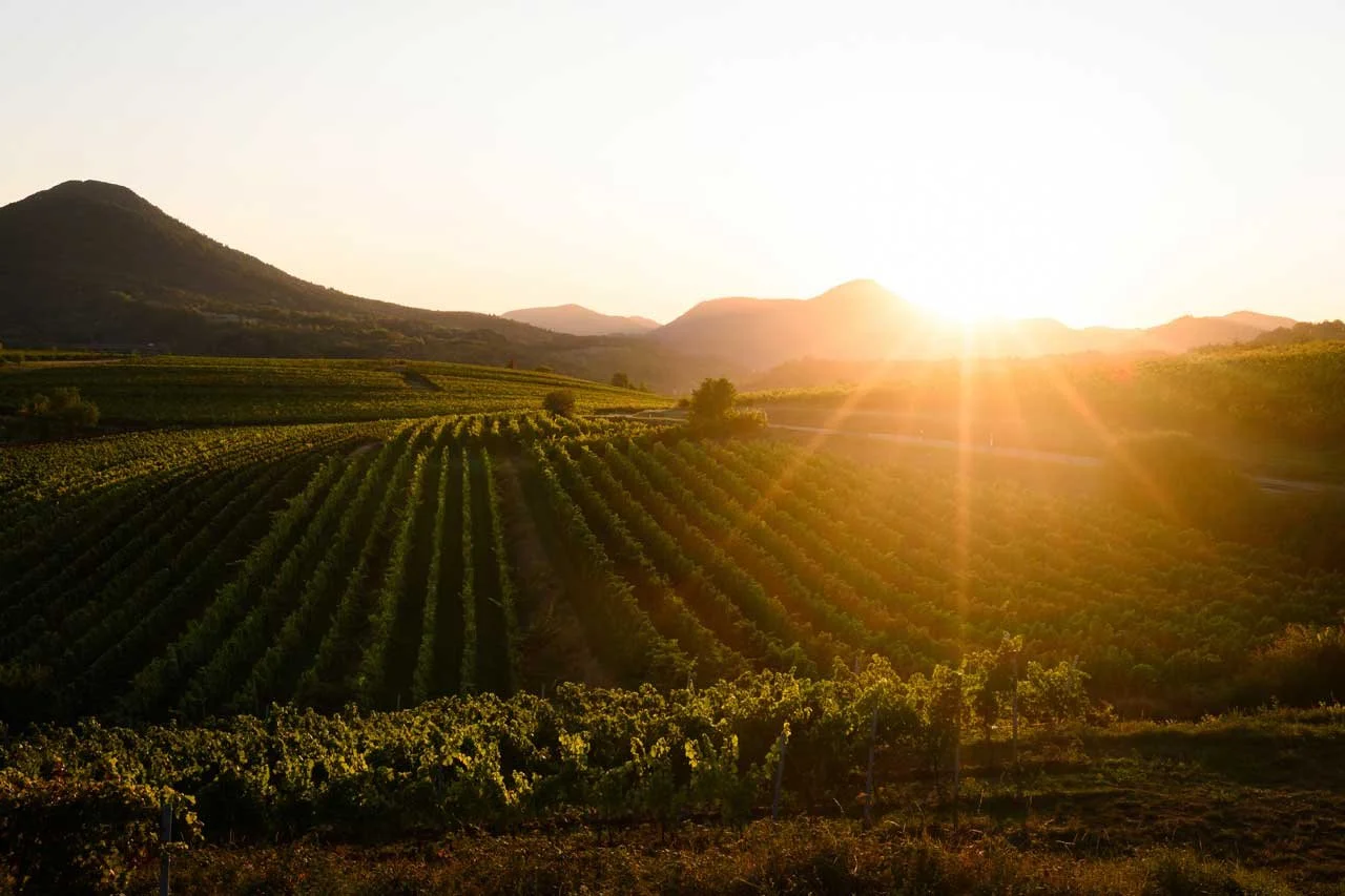 October 1st Ellermann-Spiegel Winery Experience