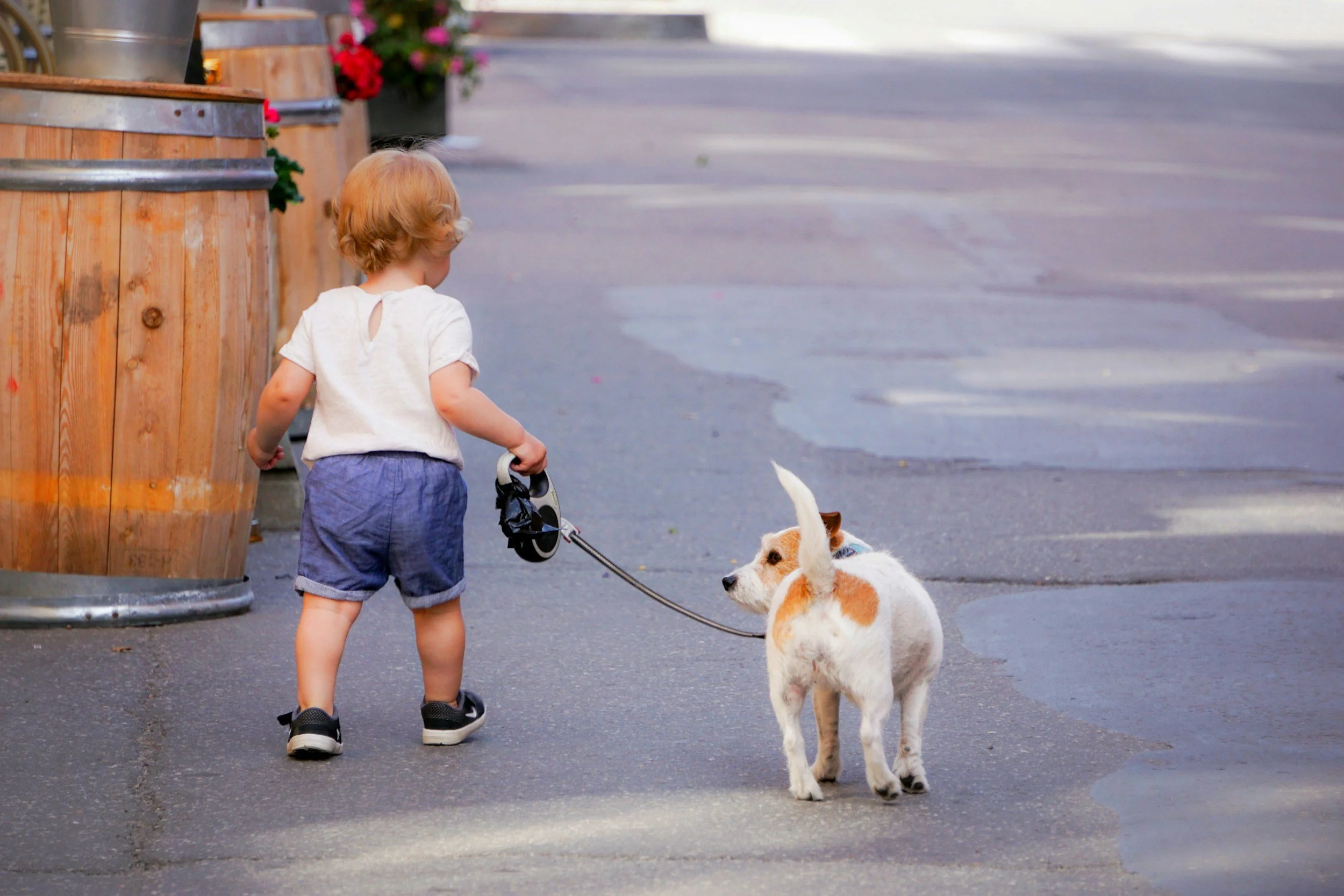 Contact Klova Relocation for relocation services in Stockholm and Sweden