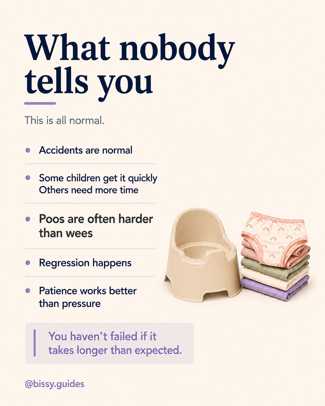 Potty training expectations guide highlighting accidents, regressions and patience during the learning process.