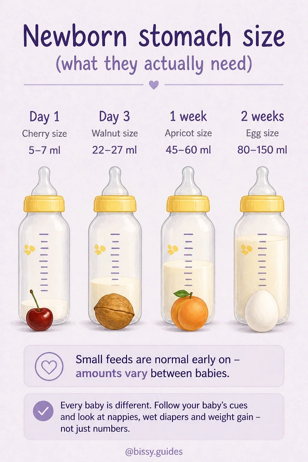 Newborn feeding guide cover showing feeding basics, amounts and milk storage explained simply