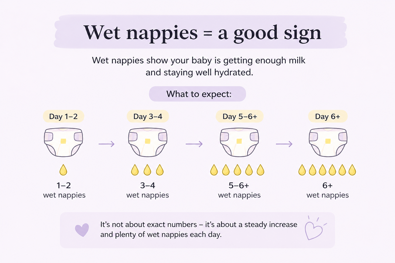 Infographic showing newborn wet nappies increasing from day 1 to day 6+ with nappy icons and droplets.