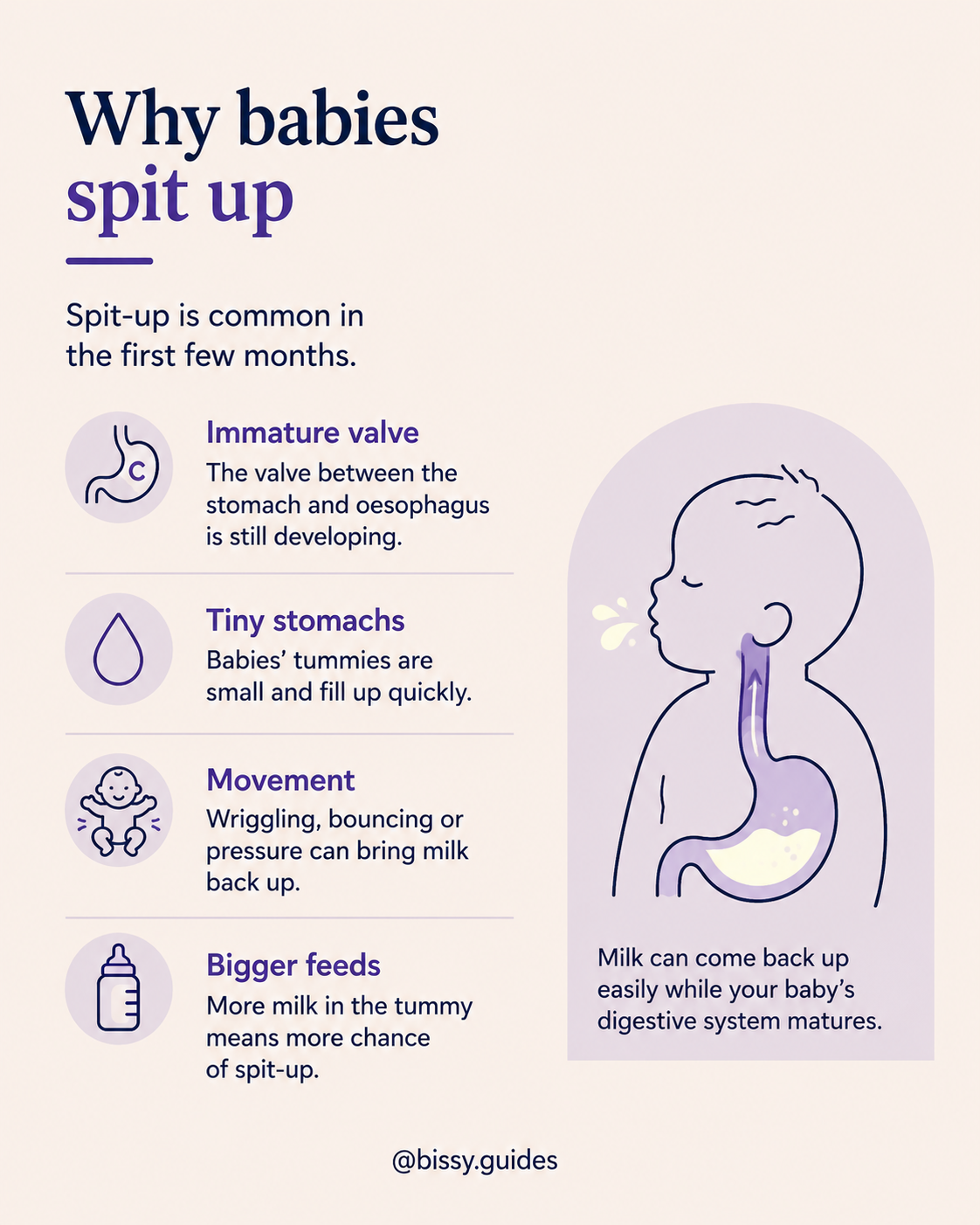 Illustration explaining why babies spit up, including an immature stomach valve, small stomachs, movement after feeds and larger feeds.