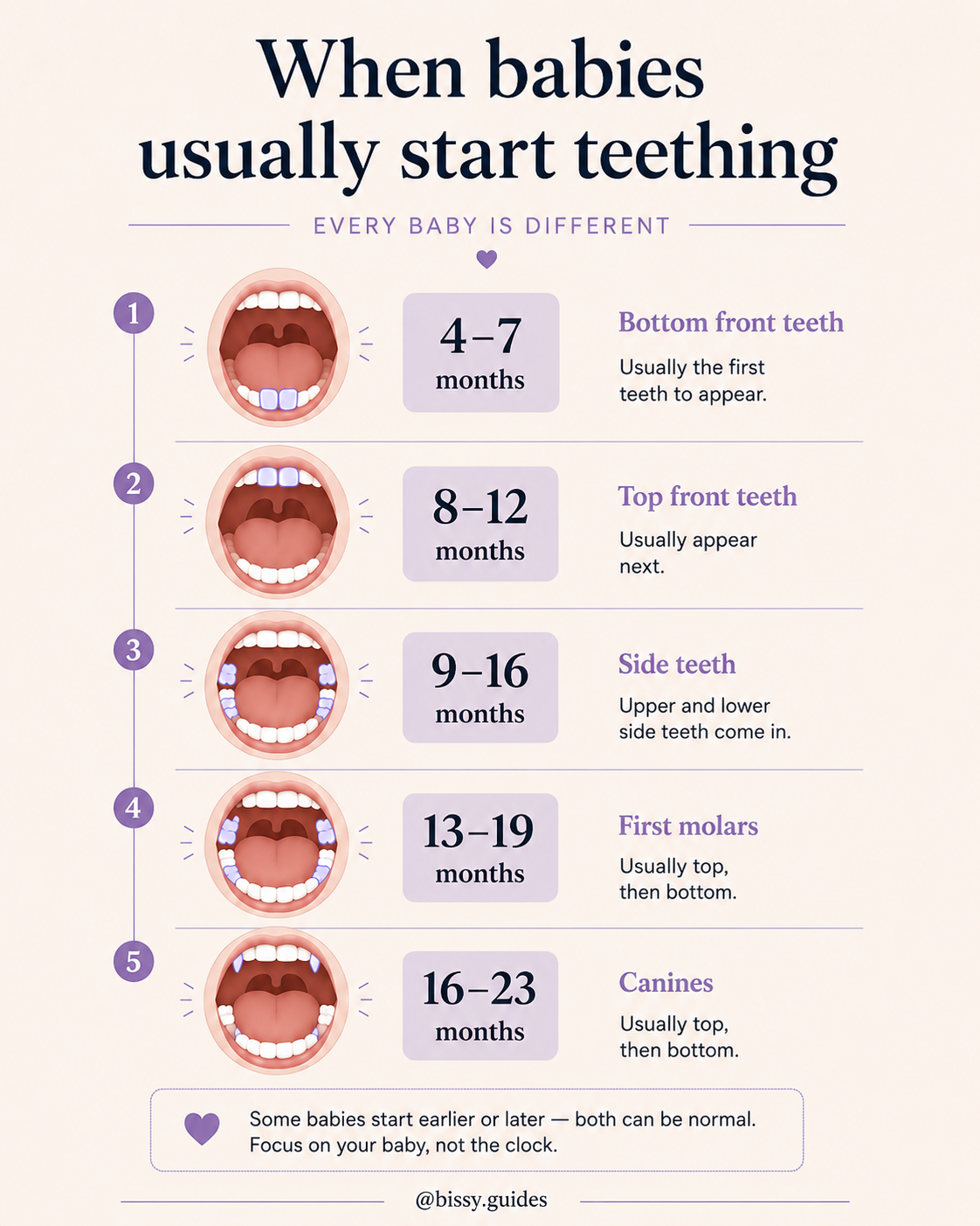 Illustrated baby teething timeline showing when different teeth usually appear.