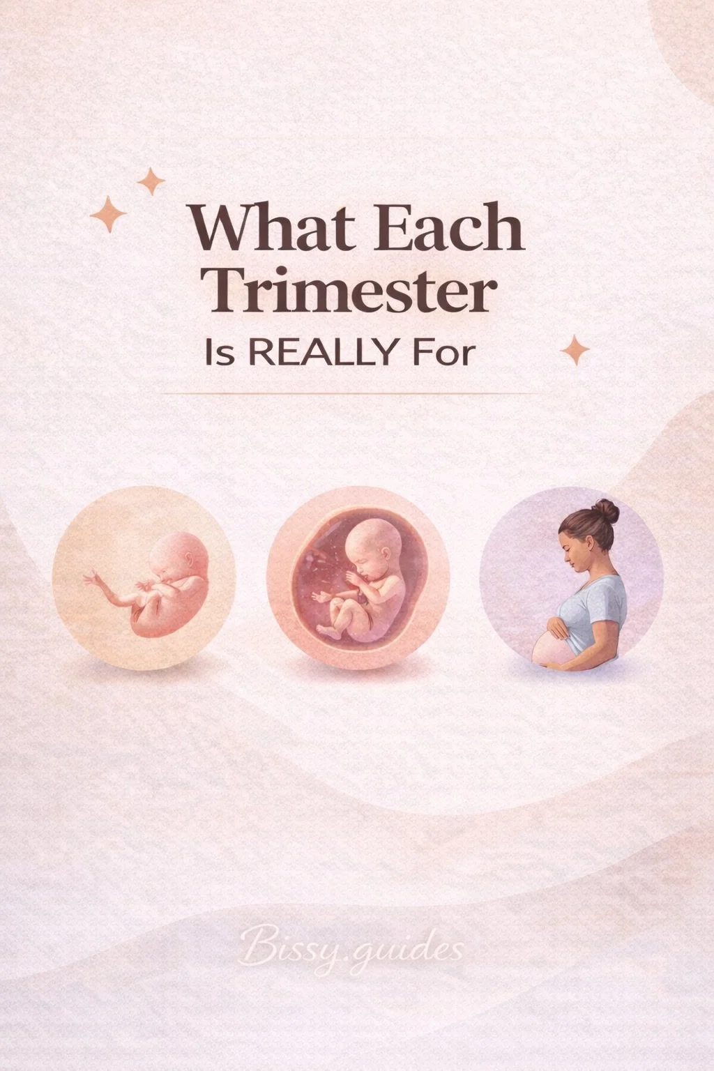 Illustrated guide showing what the first, second and third pregnancy trimesters are really for.
