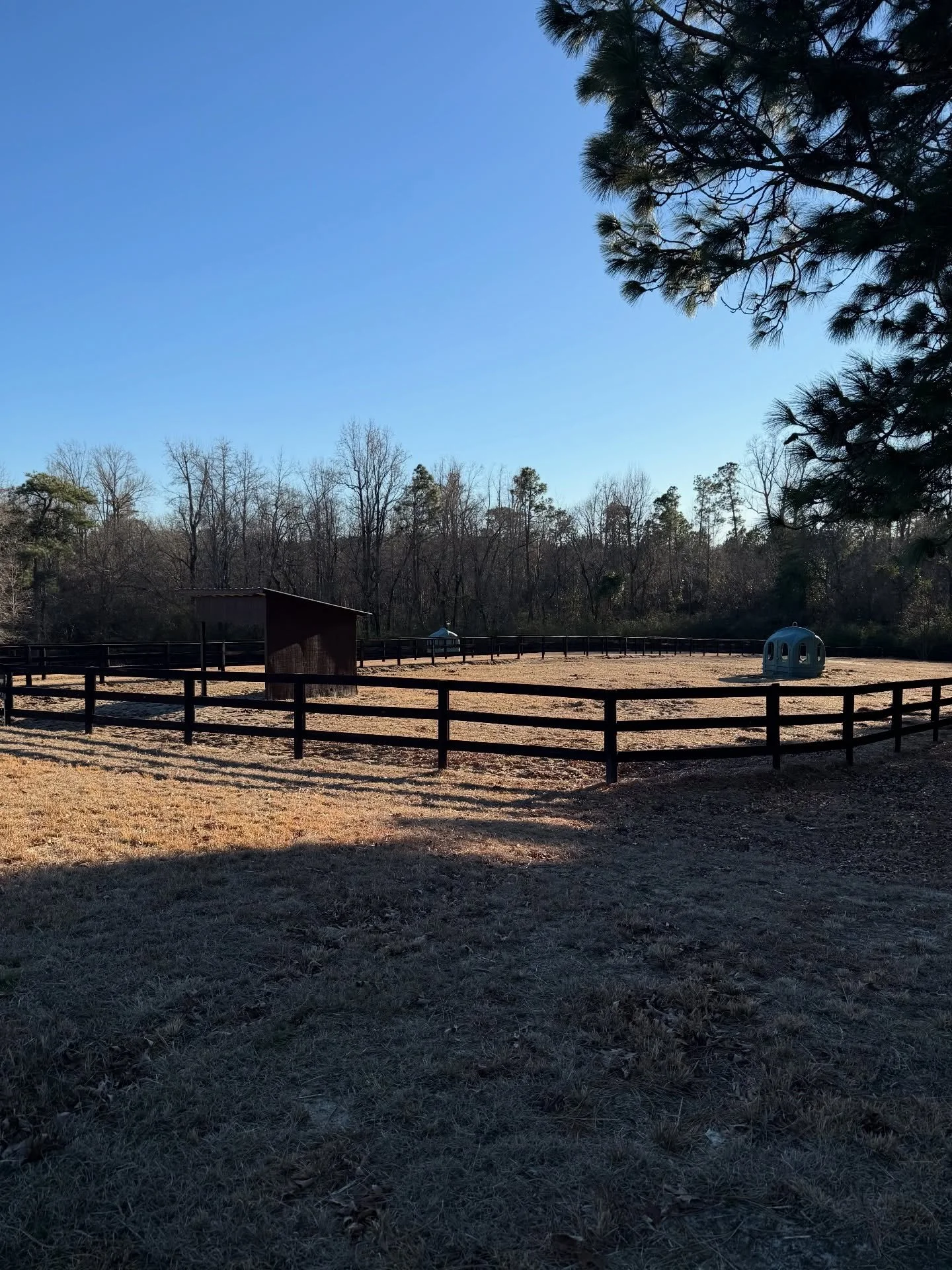 The most beautiful winter evening at the farm today! Proud of our students who have been staying consistent in the cold weather! 
&bull;
#hunterjumper #equestrian #northcarolina #horseboarding #hunterjumpertrainer