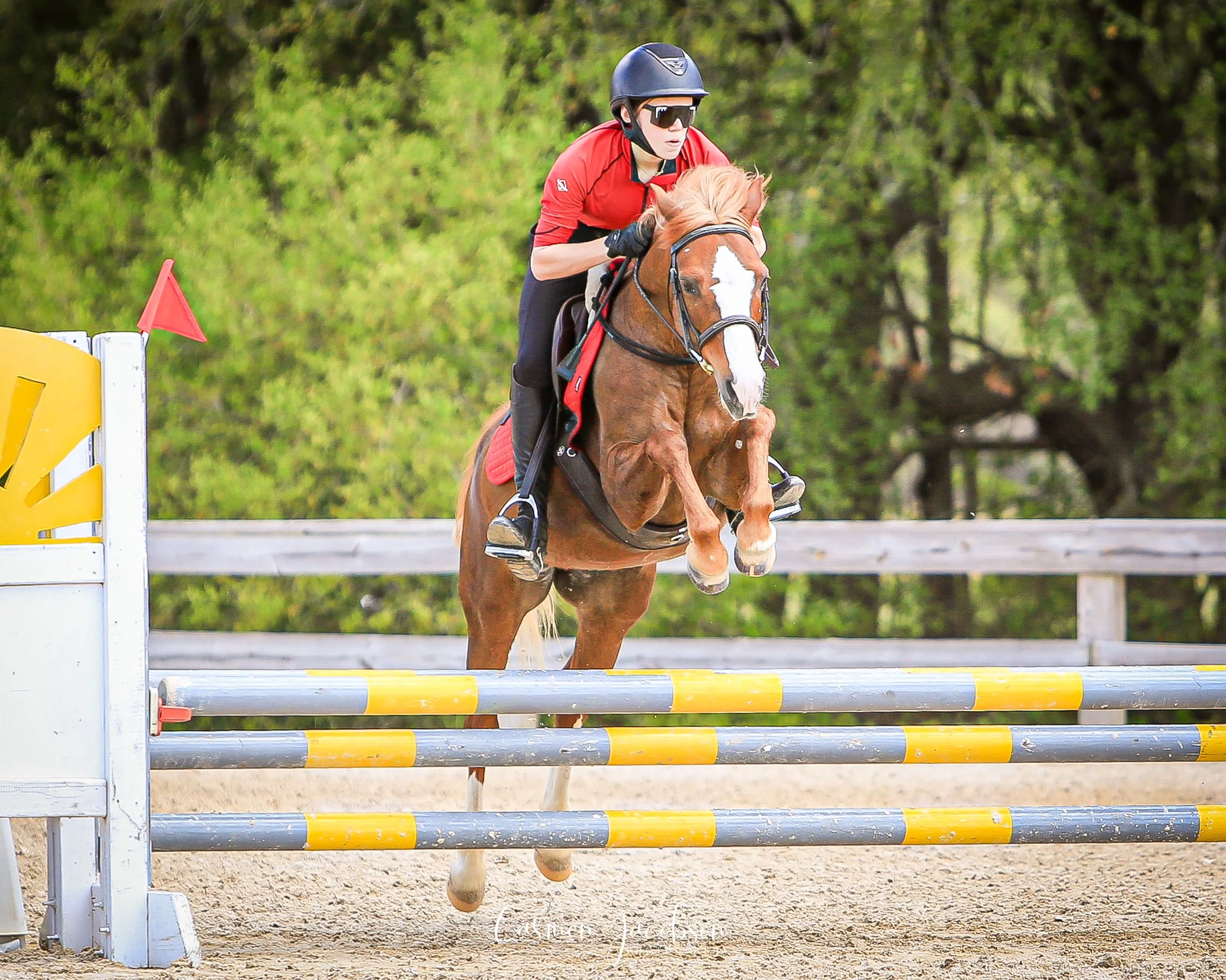 girl jumping pony