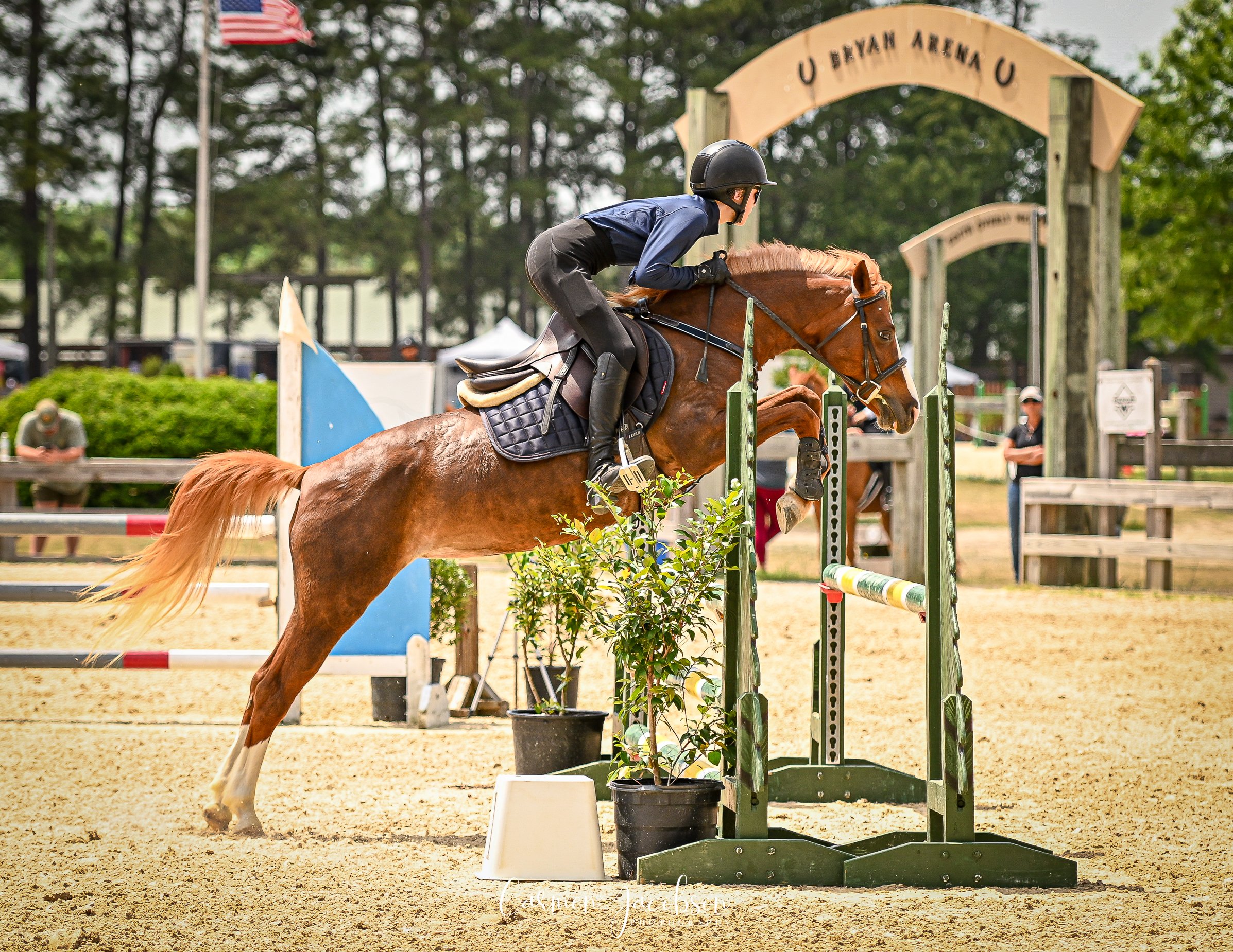medium pony jumper