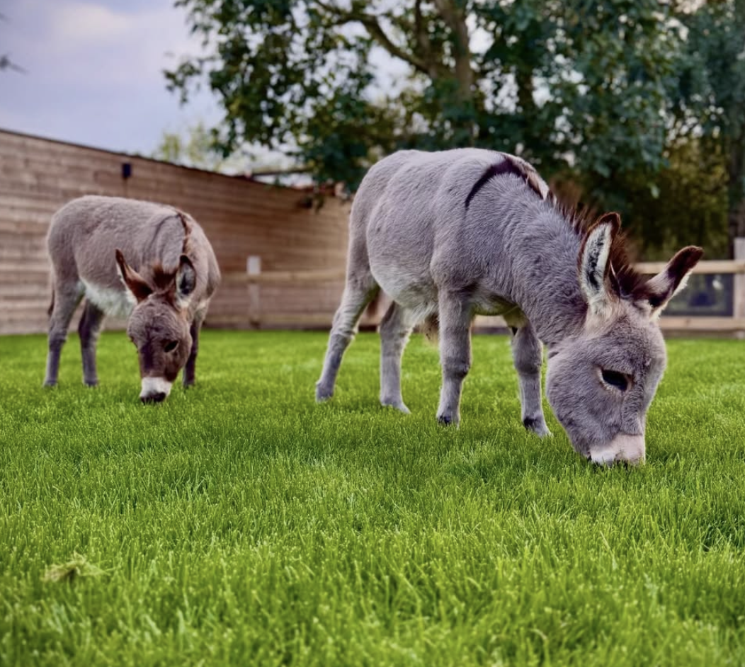 Scherm­afbeelding 2026-04-25 om 17.24.03.png