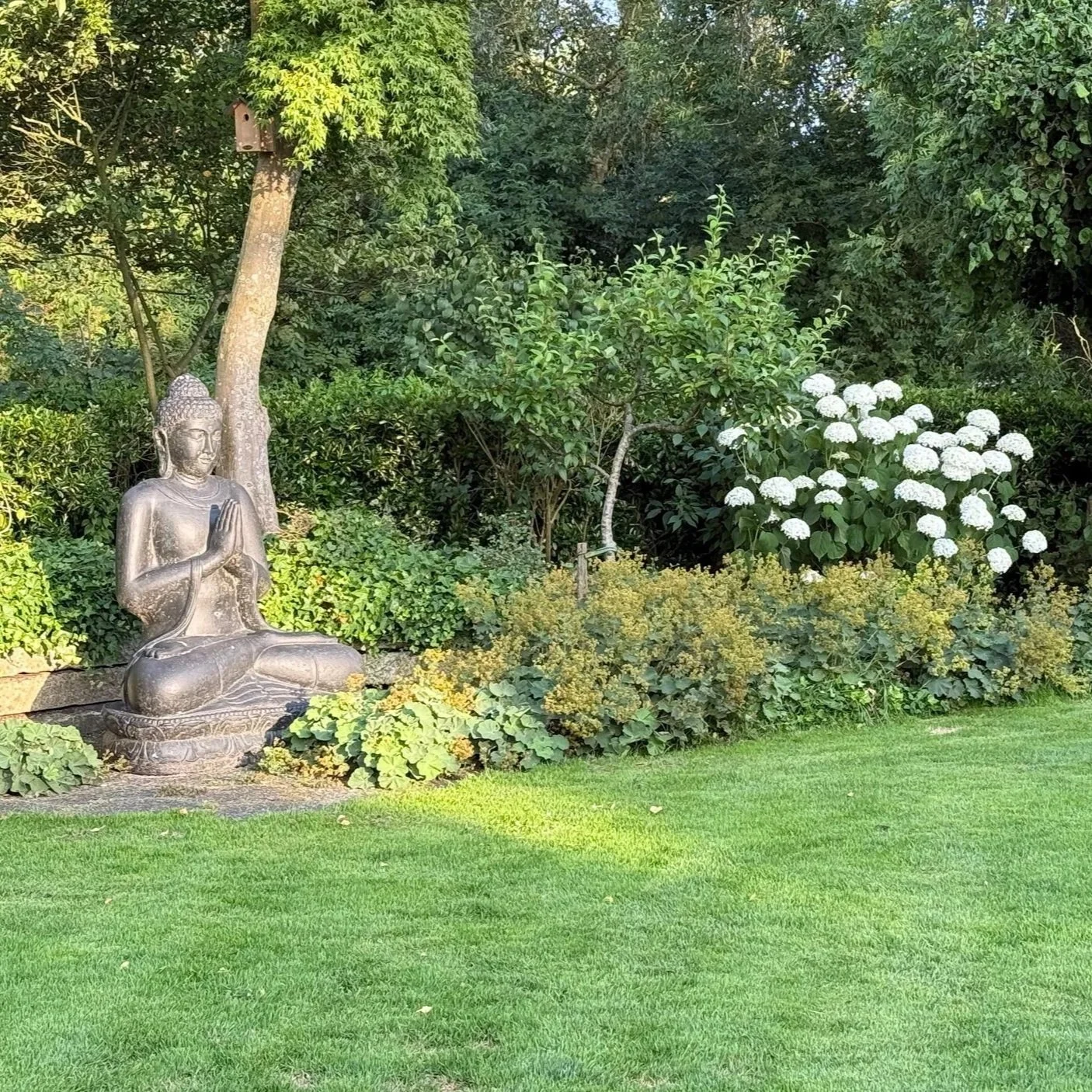 Een rustieke tuin met een bronzen boeddhabeeld in een zittende posities, omringd door groene planten, witte bloemen en een grasveld.