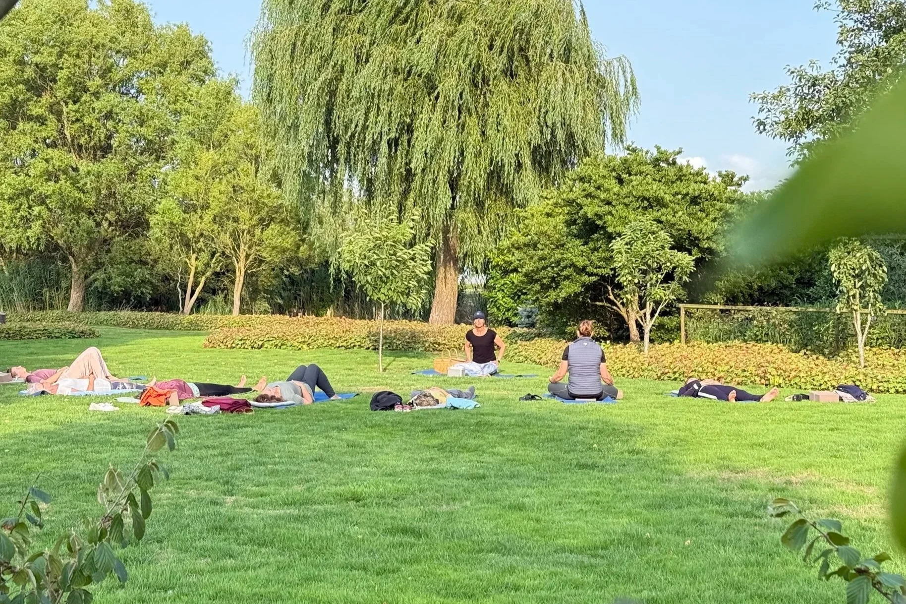 Mensen die yoga oefenen op een grasveld in een park op een zonnige dag, met groene bomen en struiken op de achtergrond.